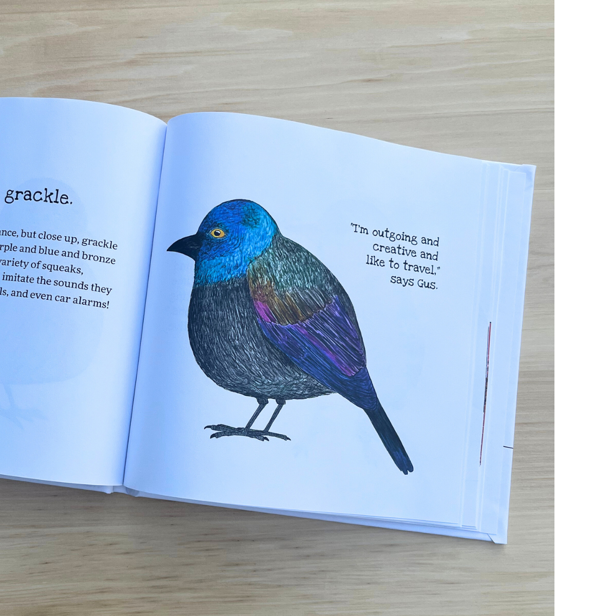 Little Birdie Buddies of Wisconsin Book
