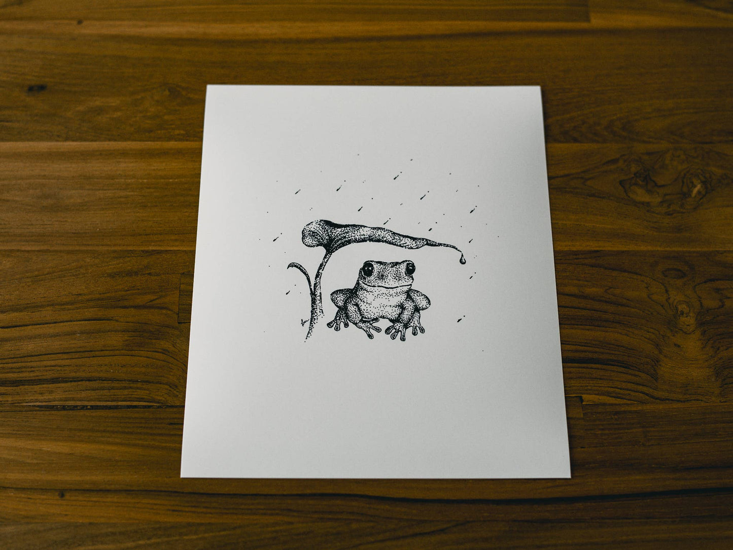 Rainy Frog Giclée 8x10 Art Print