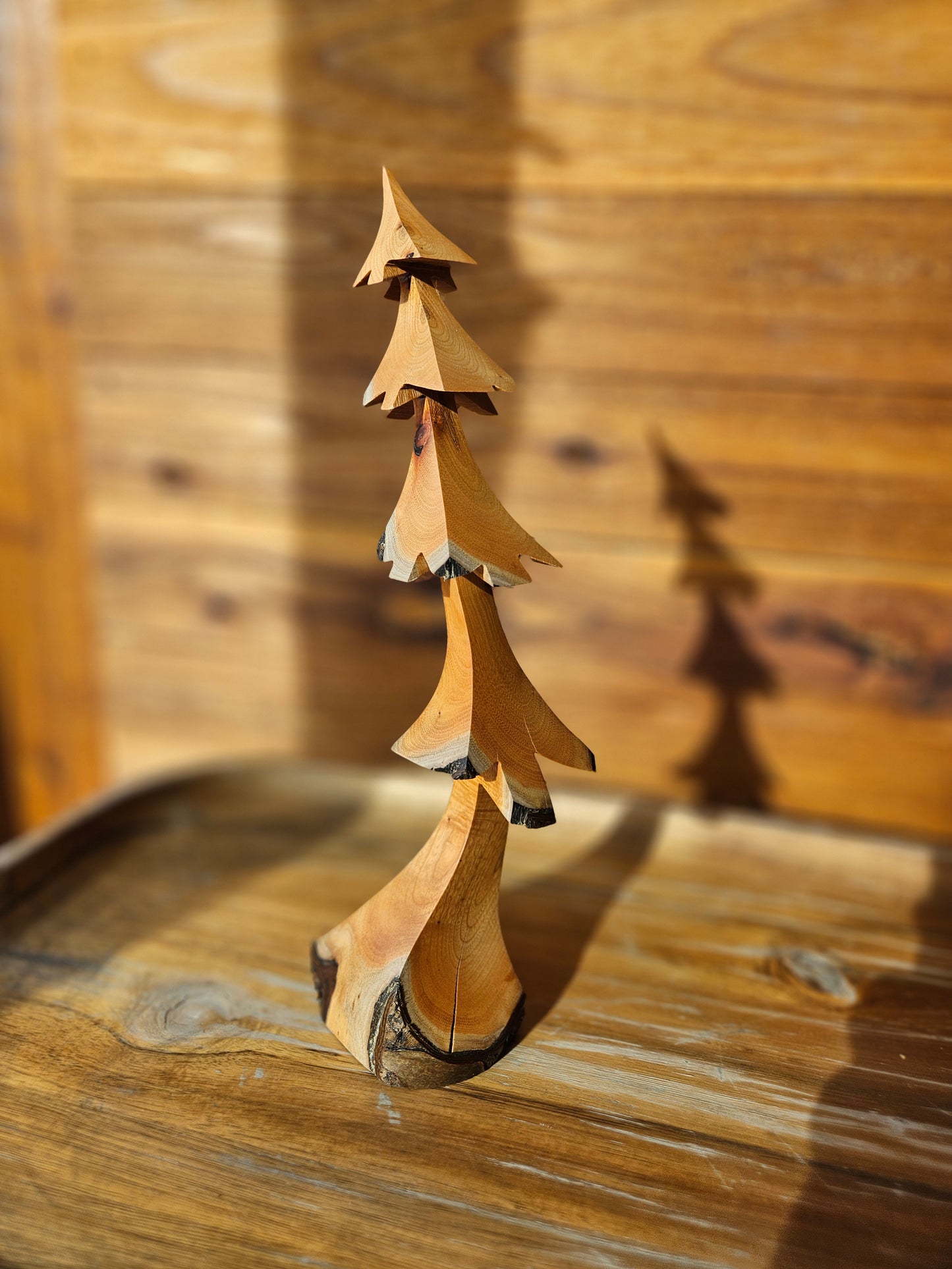 Choke Cherry 11" Tree