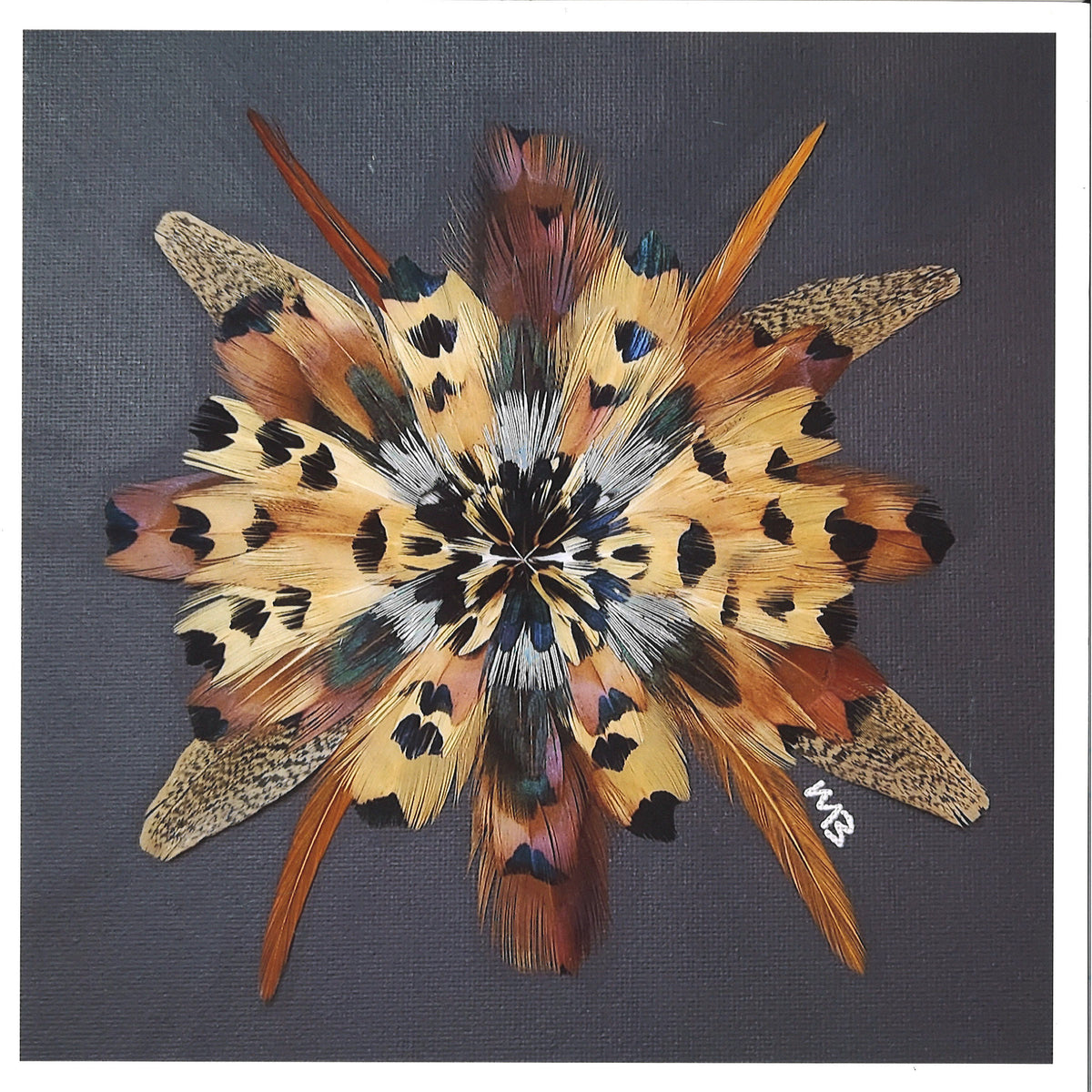 Harvest Starlight Feather Star Art Print