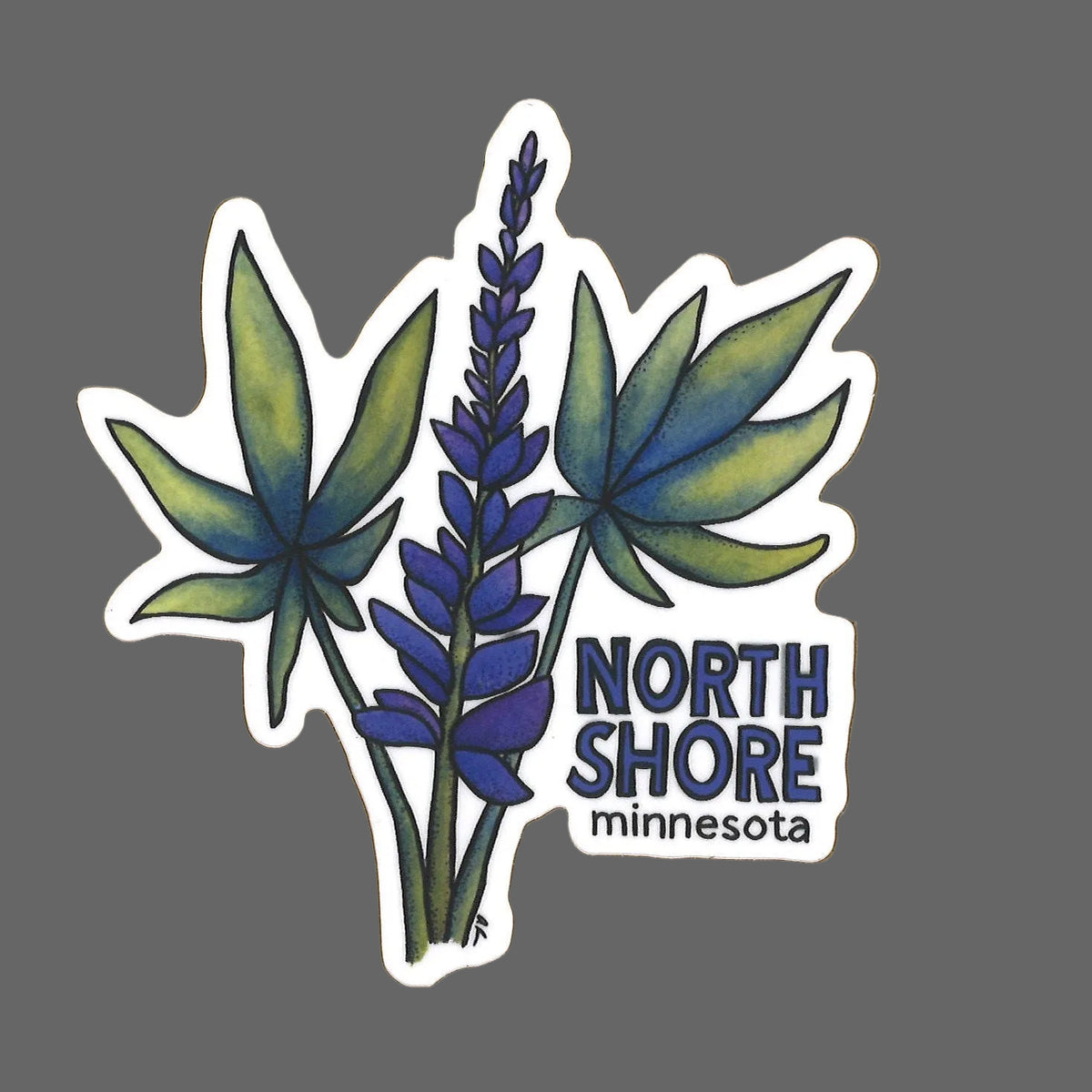 Lupine- North Shore Minnesota Sticker