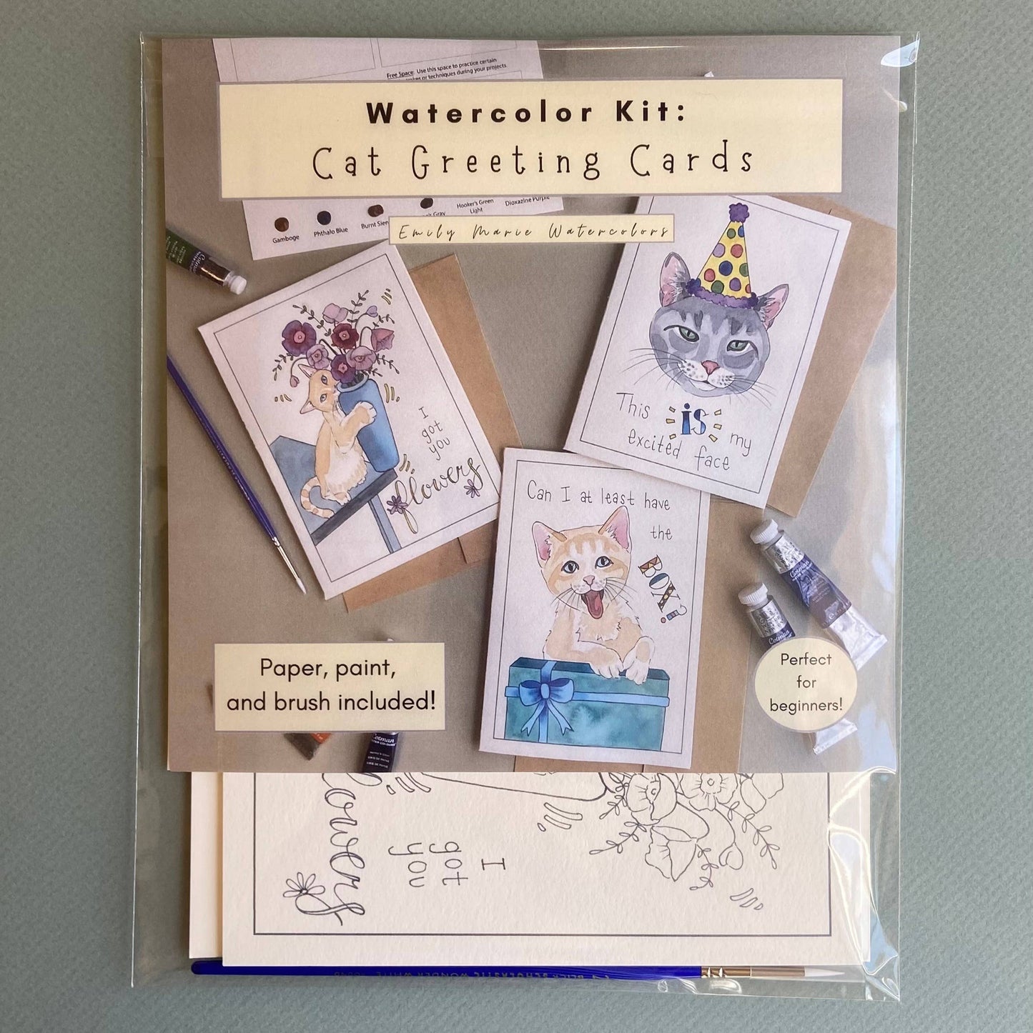 Watercolor Painting Kit: Cat Greeting Cards
