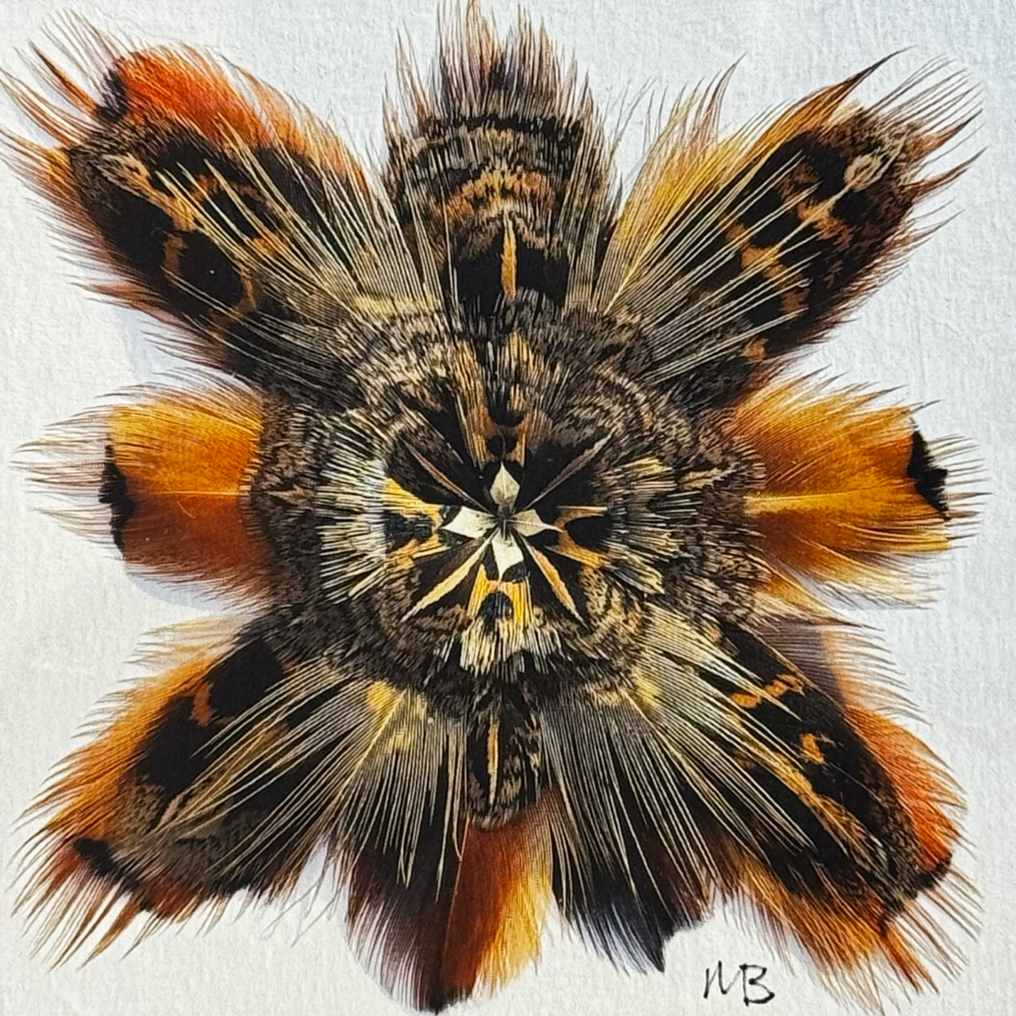 The Ruffed Crocus Feather Star Art Print