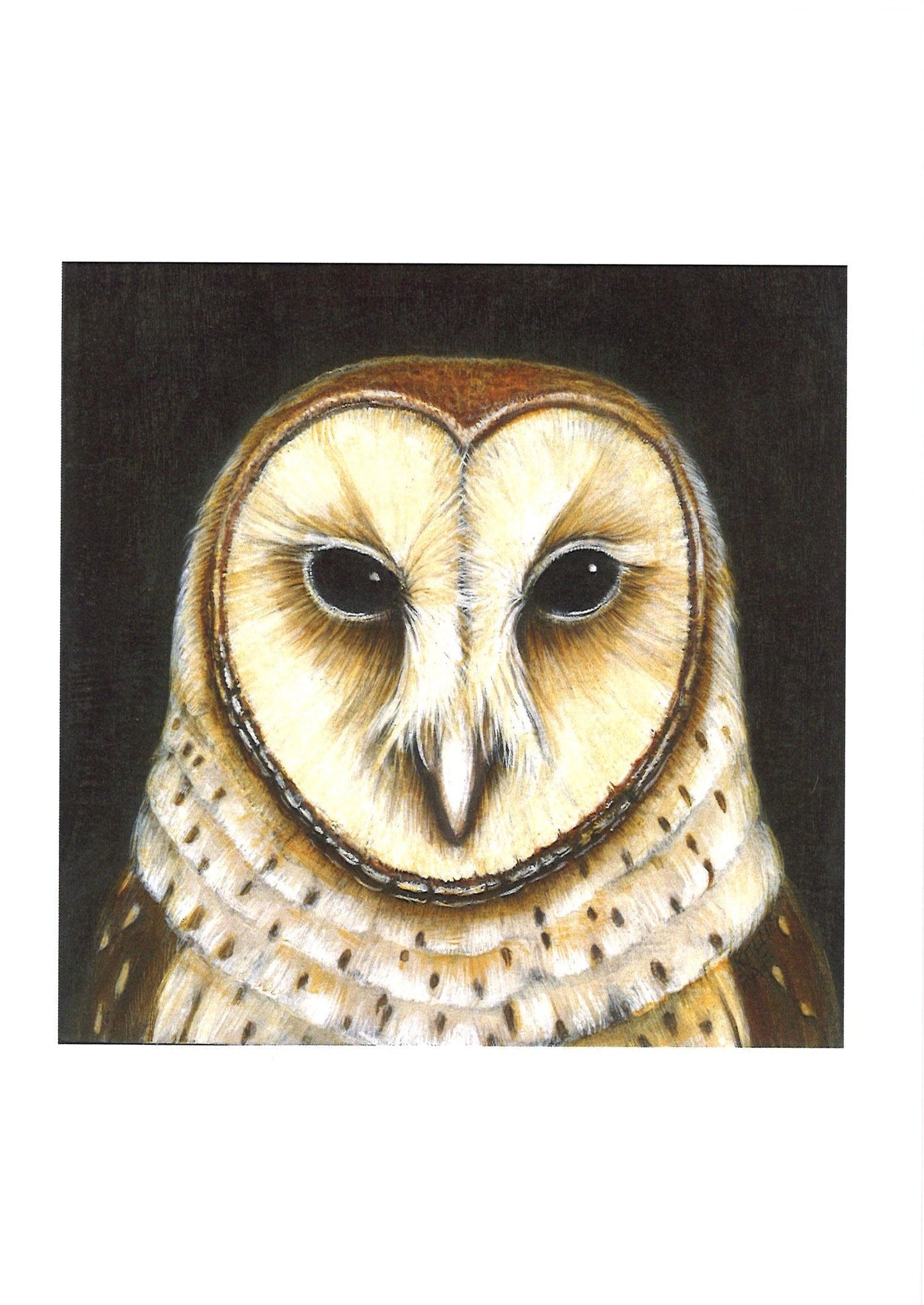 Barn Owl Portrait Greeting Card