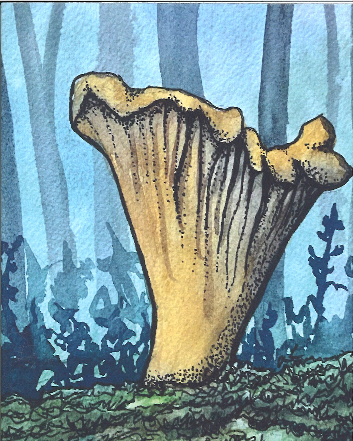 Big Chanterelle Greeting Card
