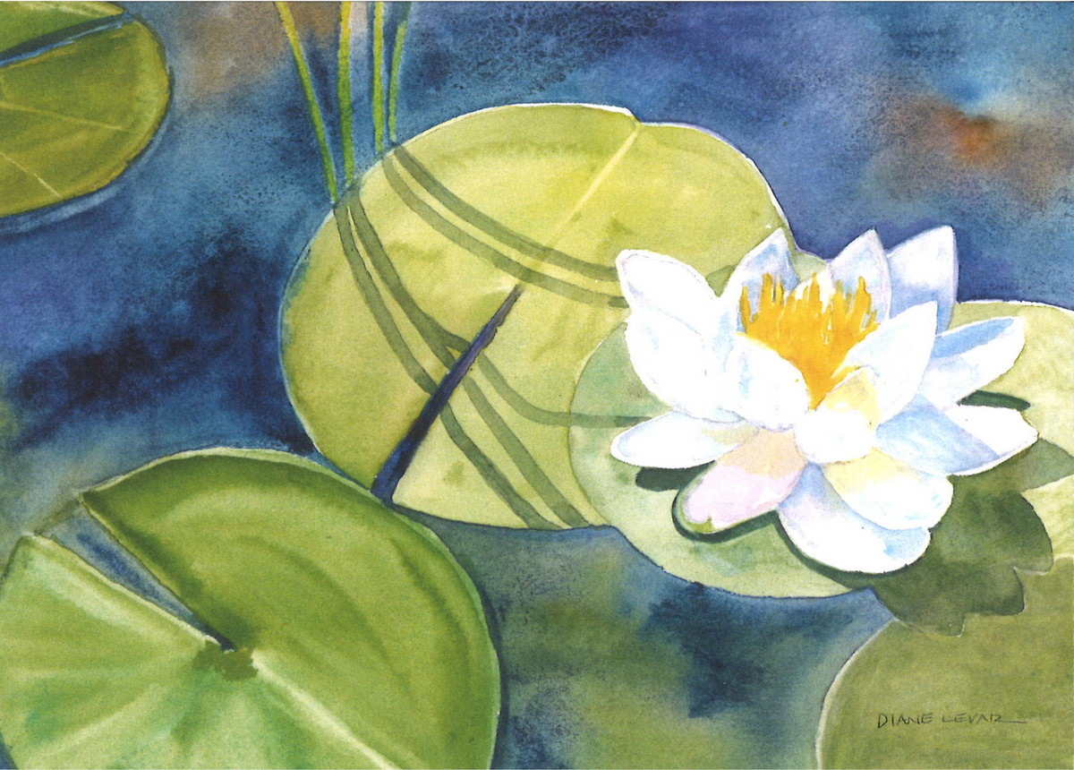 Blooming Water Lily Greeting Card