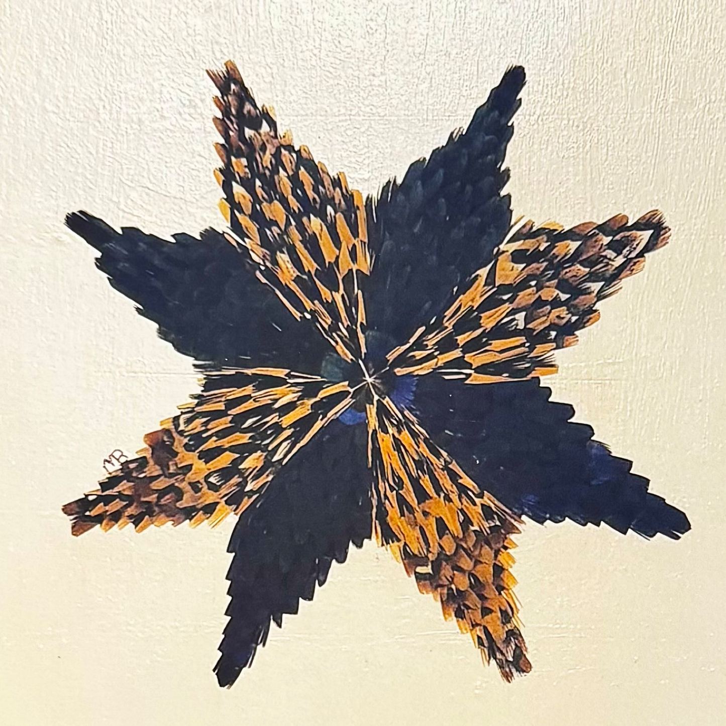 The Barn Star Feather Star Art Print
