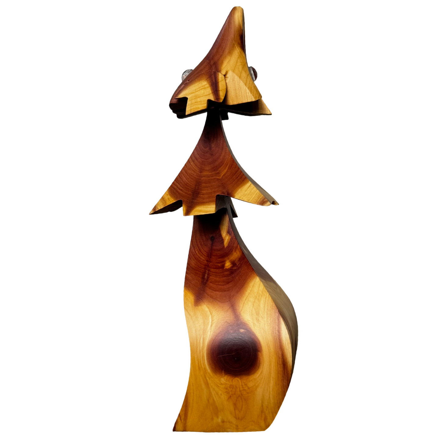 Juniper Dragon Tree 8.5"