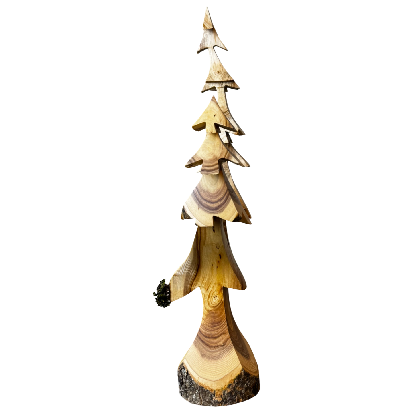 Double Black Ash 14"Tree