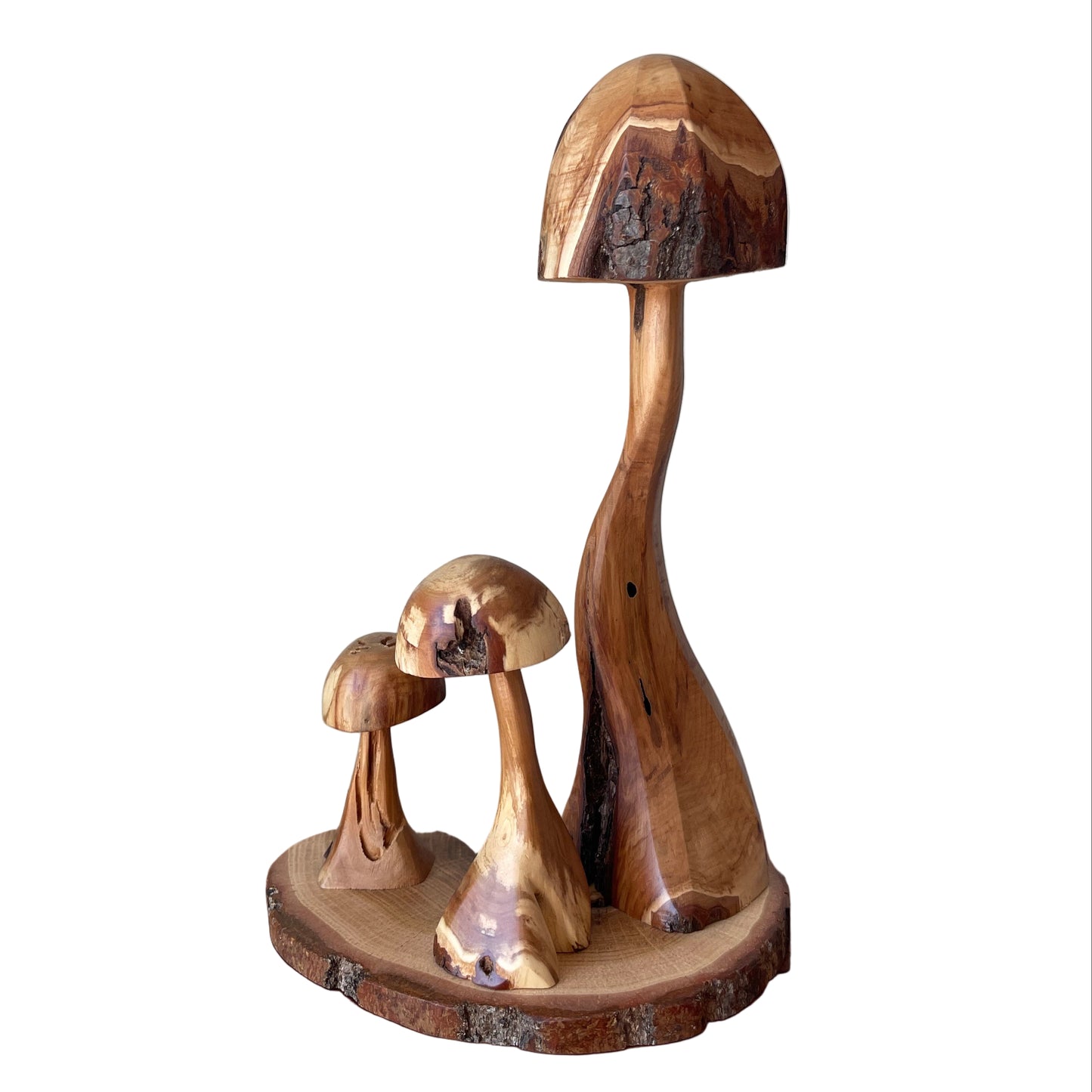 Diamond Willow Mushroom Trio