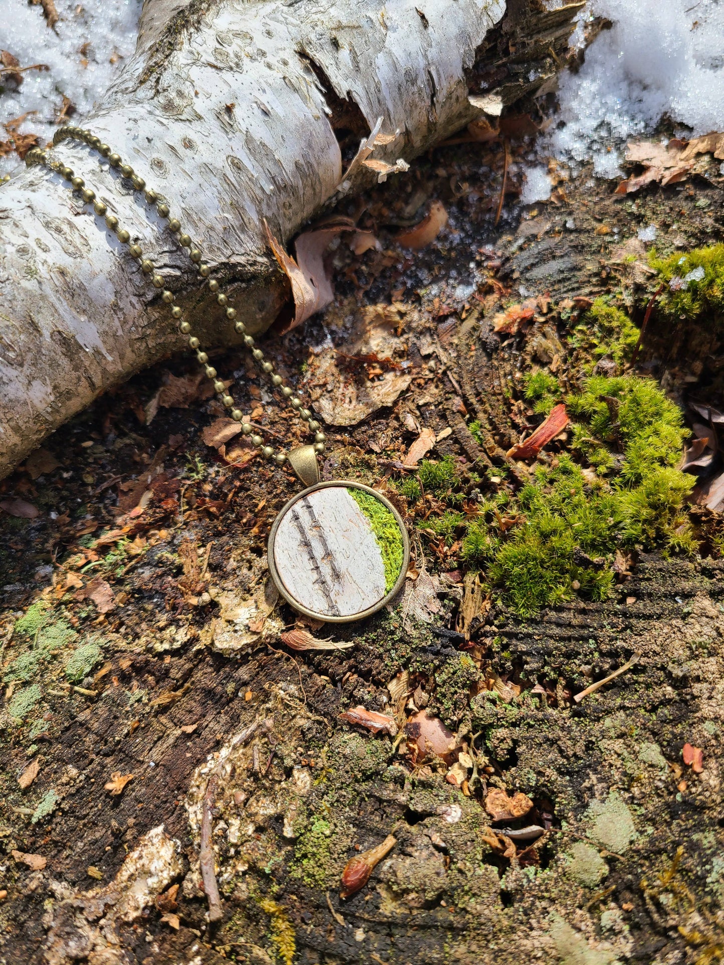 Mossy Birch Bark Circle Bronze Necklace