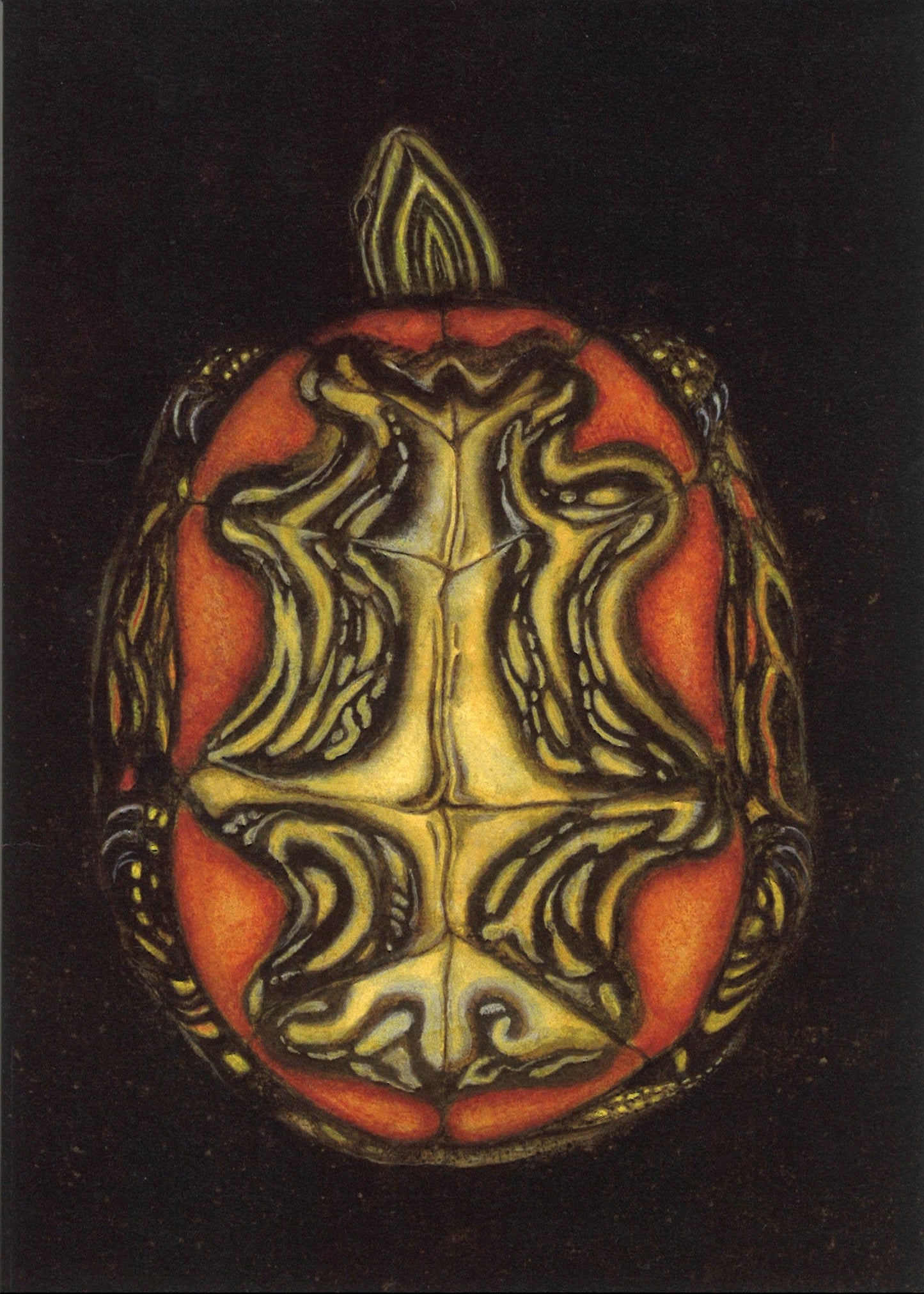 Painted Turtle Greeting Card