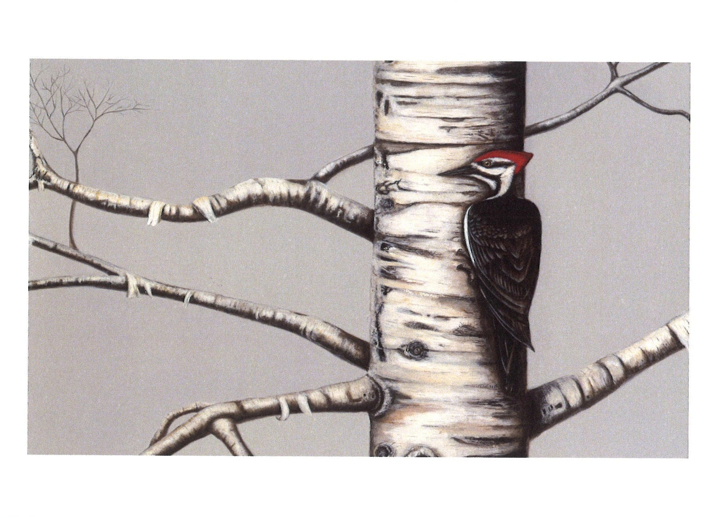 Kellie Rae Theiss Note Cards