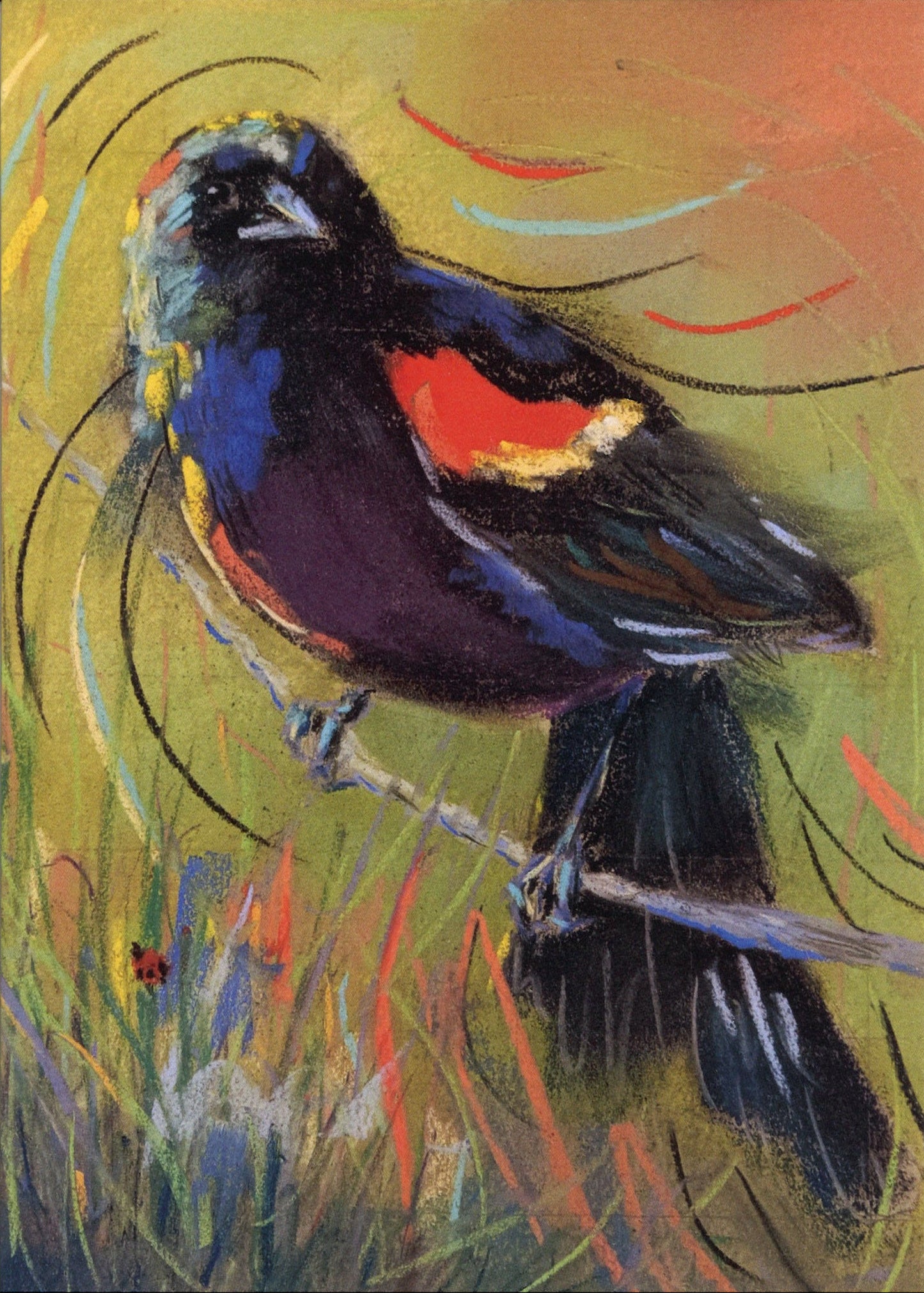 Red Wing Blackbird Greeting Card