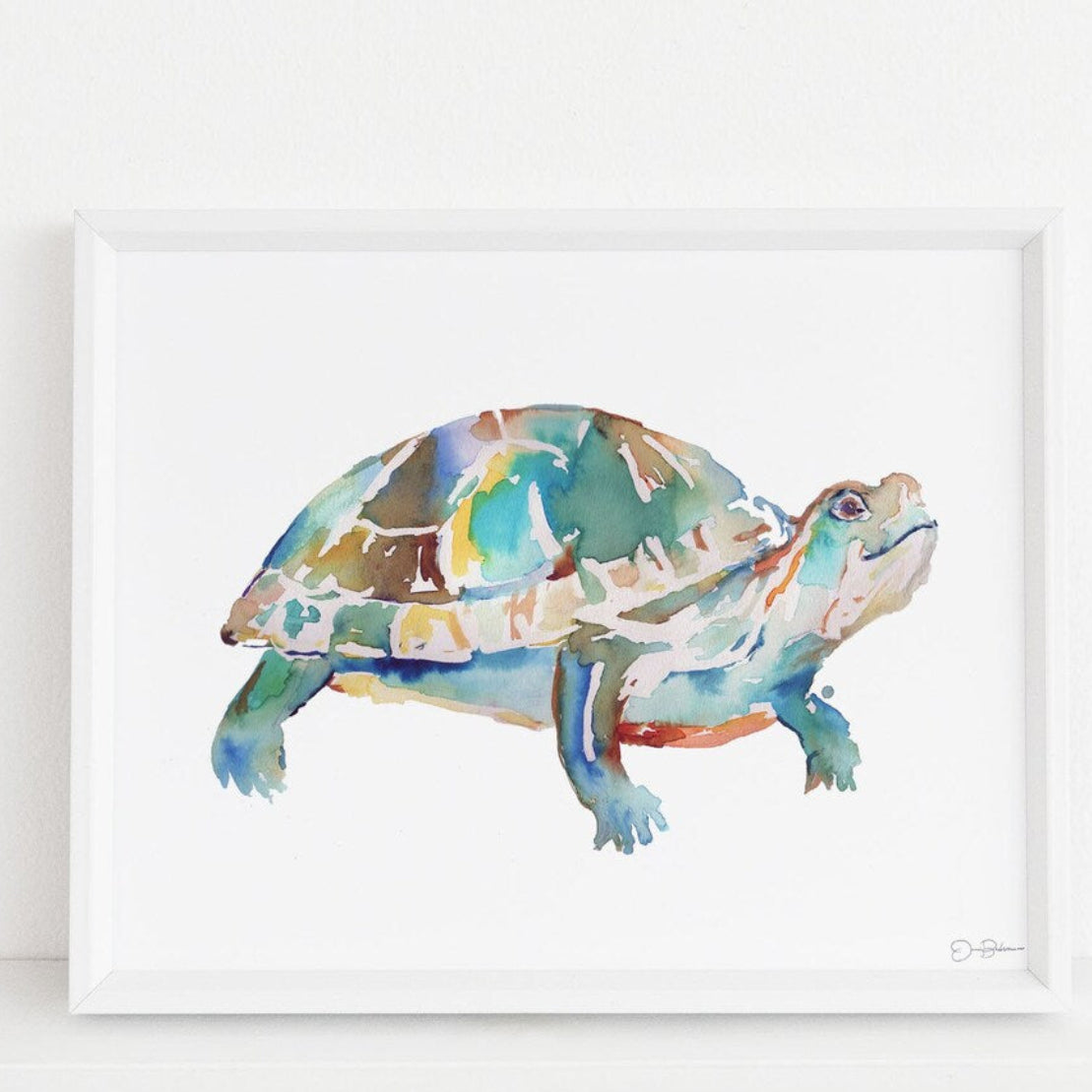 "Turtle" Turtle Giclée print: 8" x 10"