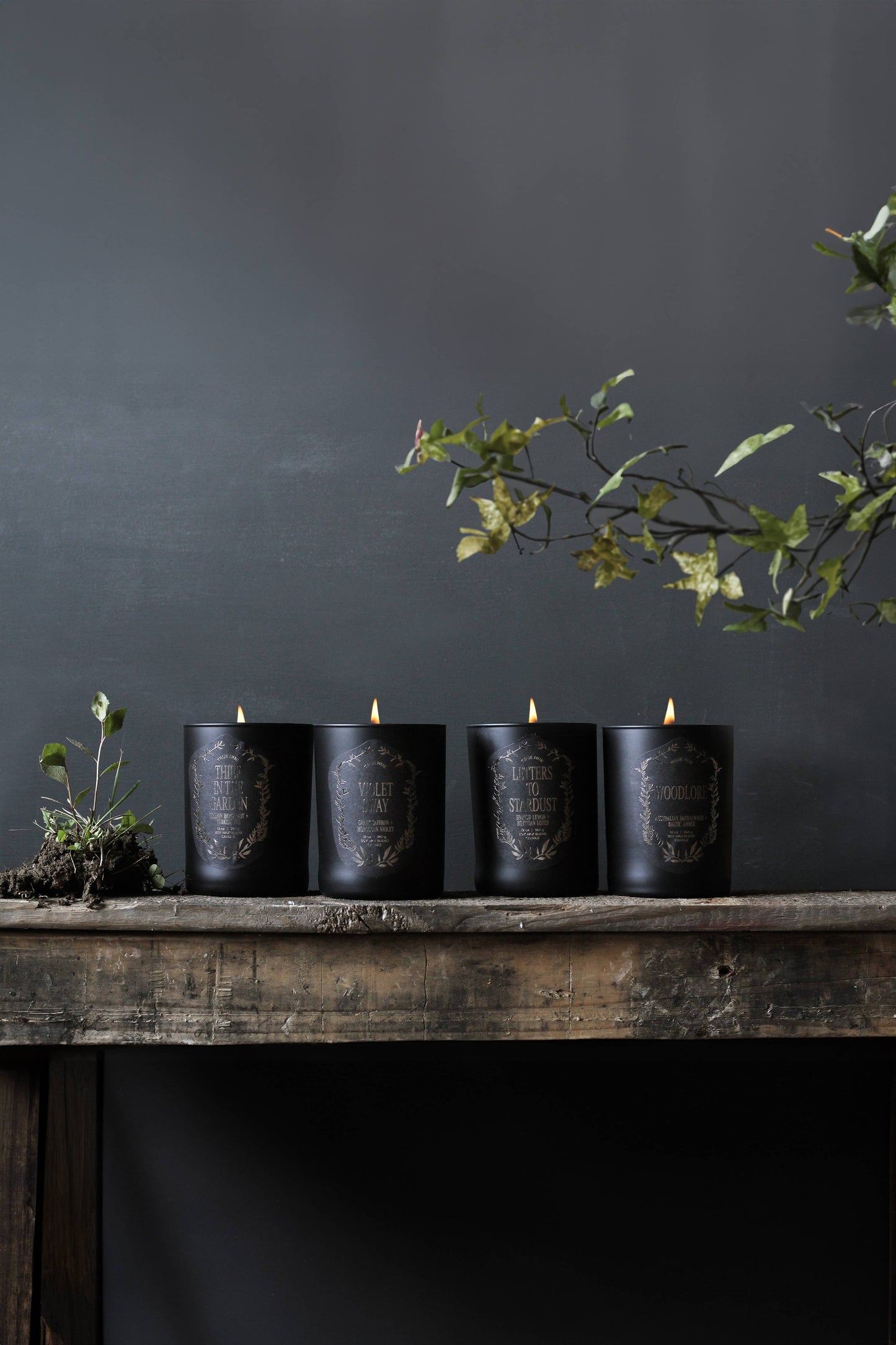 Violet Sway Candle 12 oz.