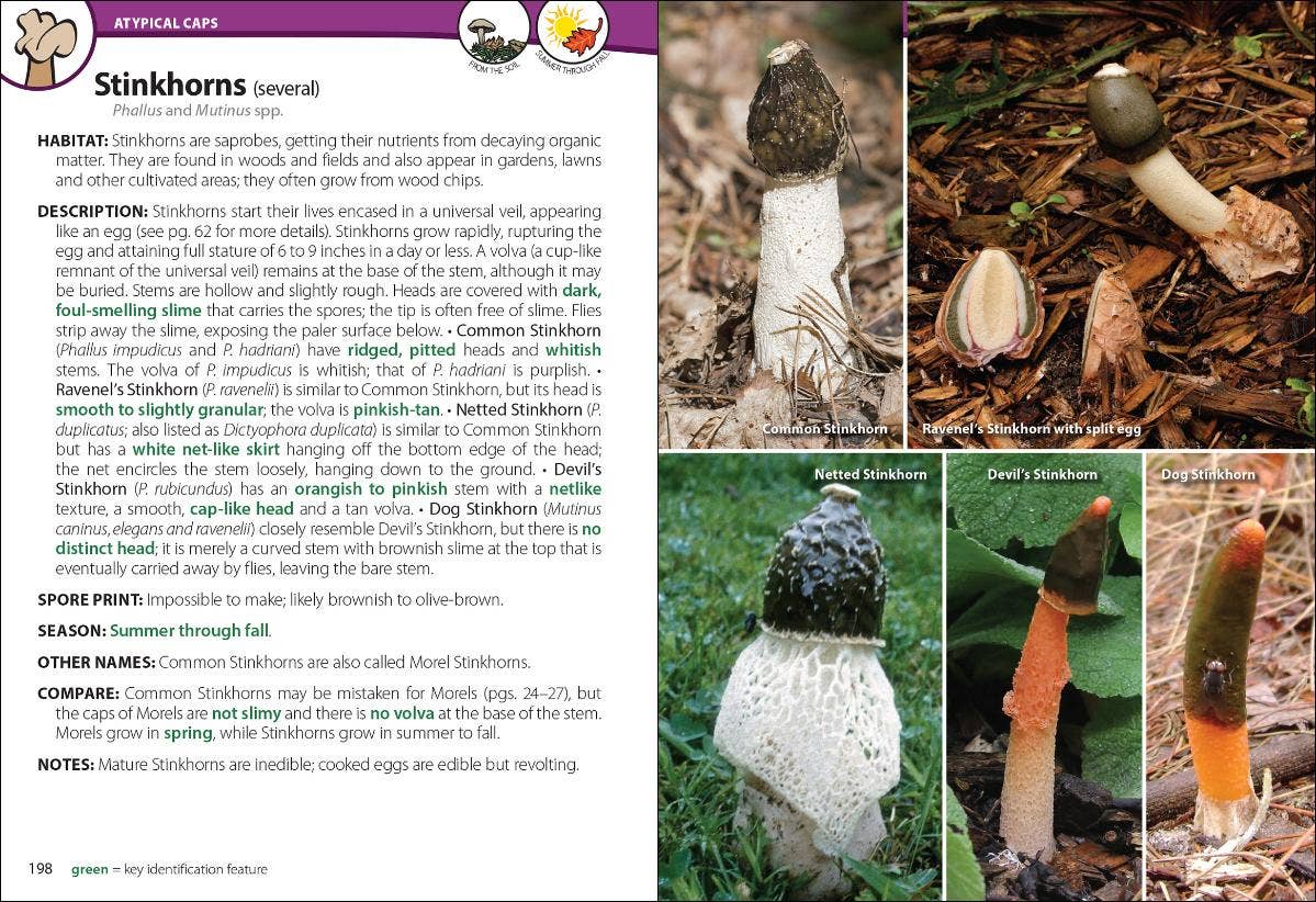 Mushrooms of Upper Midwest 2e