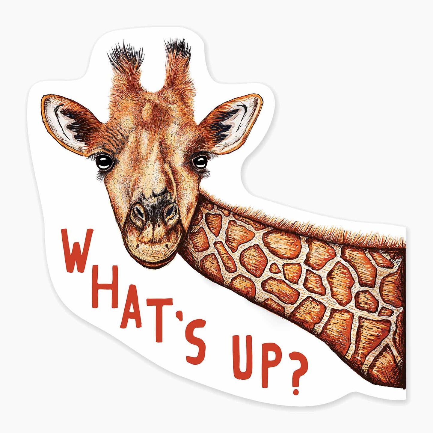 What's Up - 3" Art Sticker