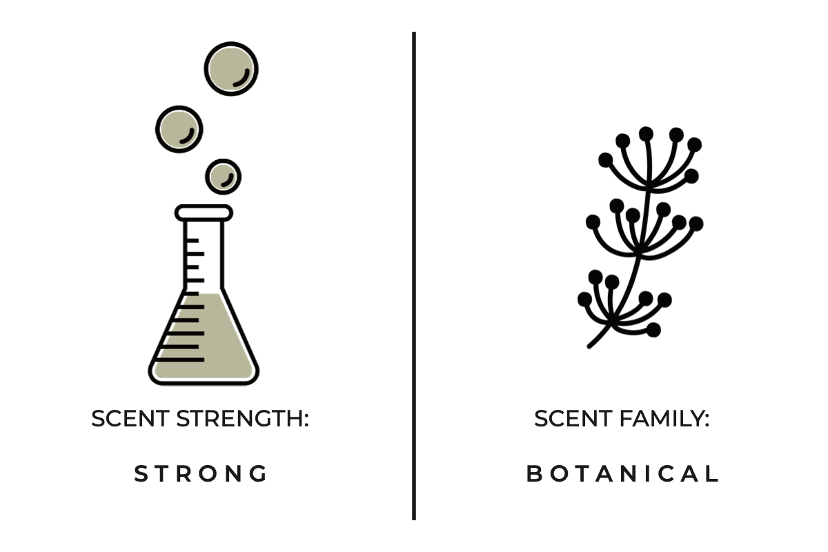 Violet Sway Candle 12 oz.