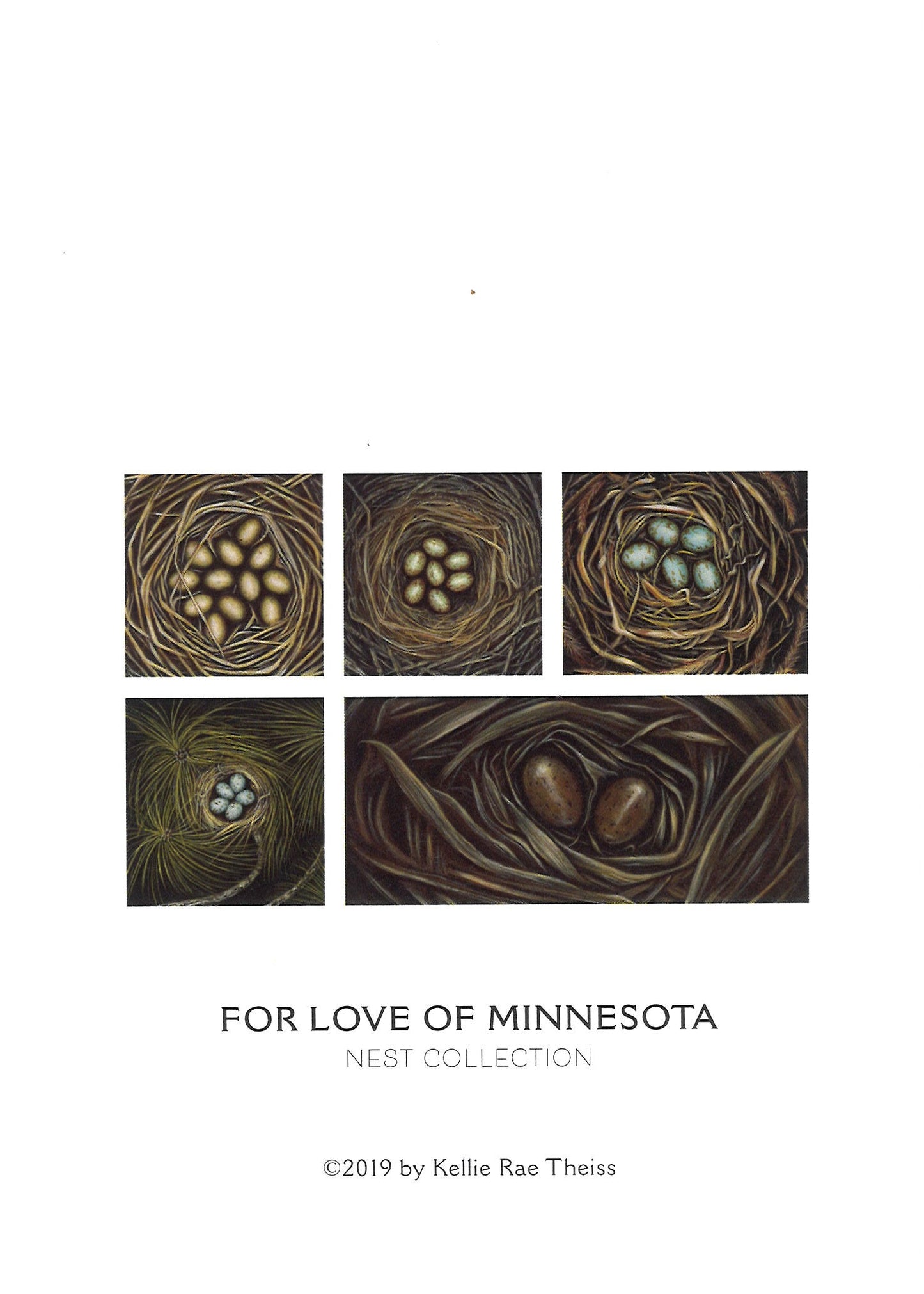 Kellie Rae Theiss For the Love of MN Postcard Set | Nest Collection