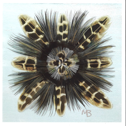 The Winter Star Feather Star Art Print