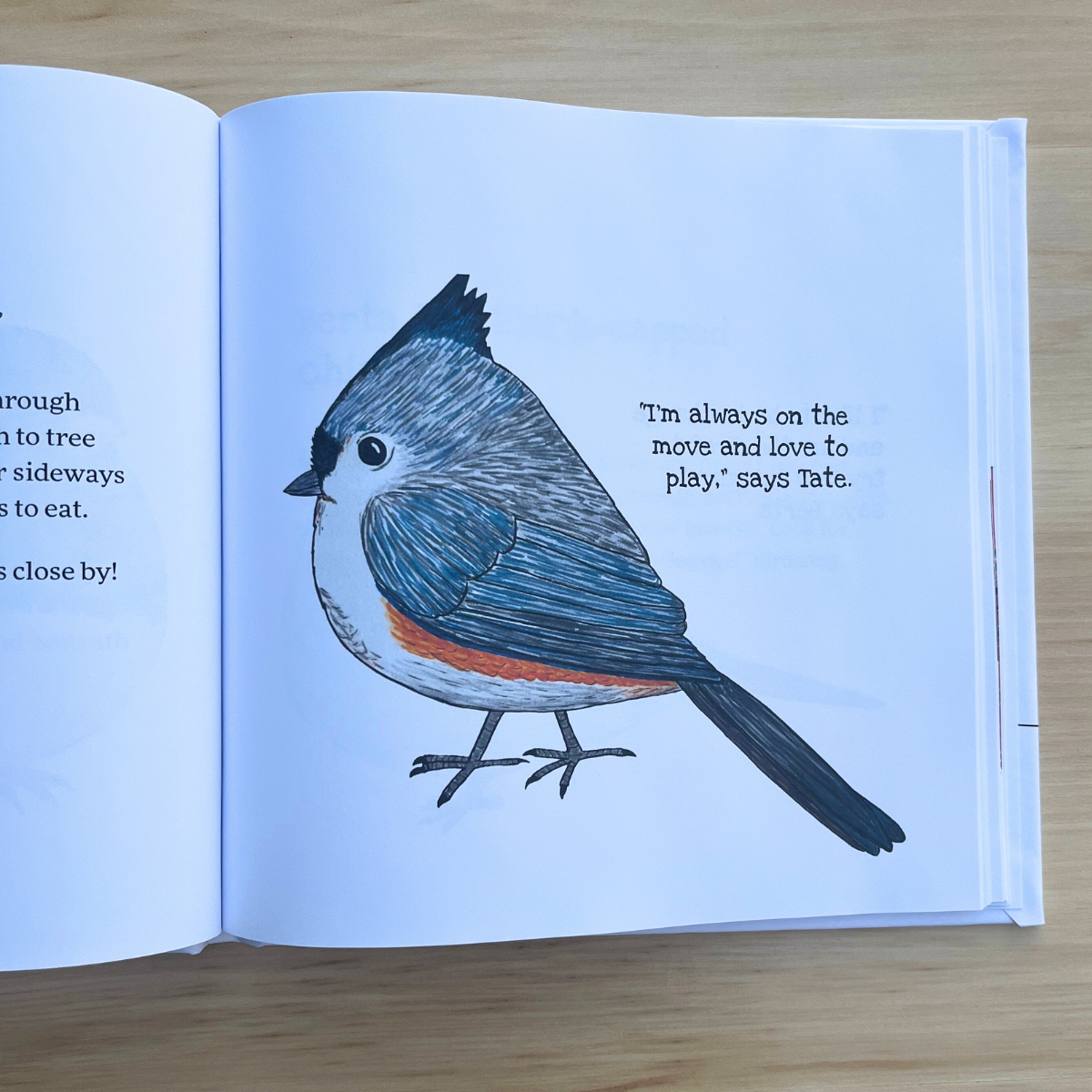 Little Birdie Buddies of Wisconsin Book