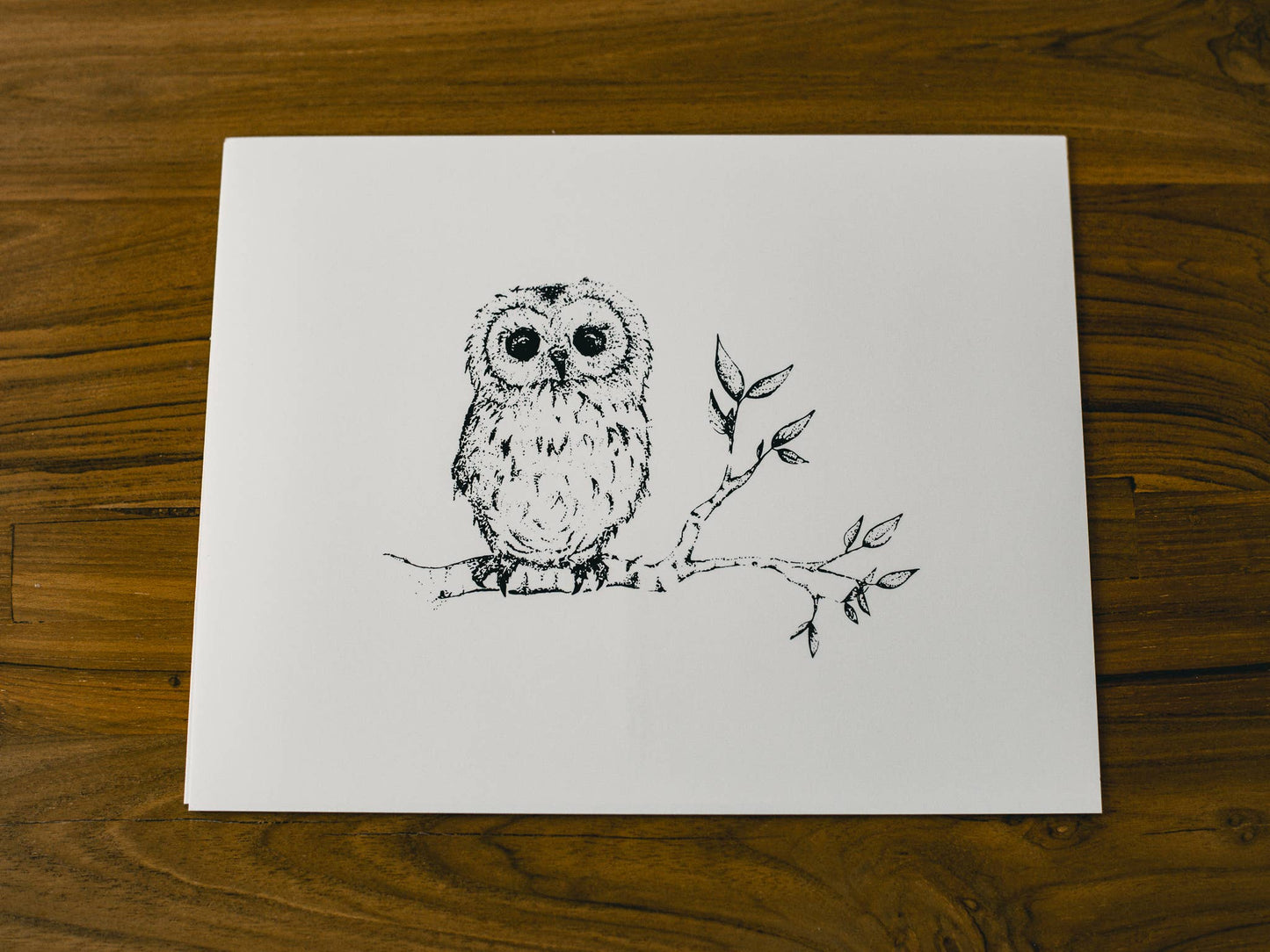 Baby Owl Giclée 8x10 Art Print