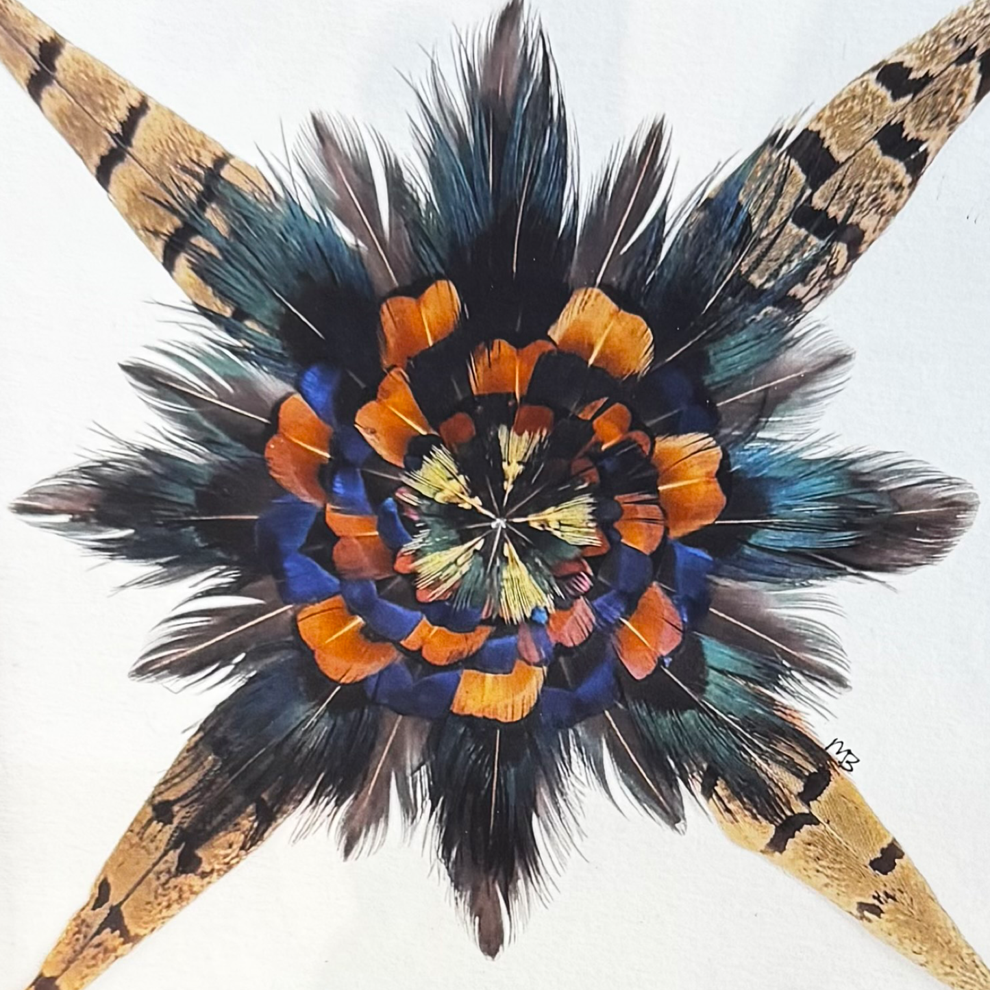 The Spiral Star Feather Star Art Print