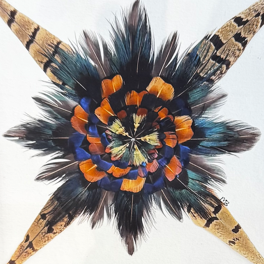 The Spiral Star Feather Star Art Print