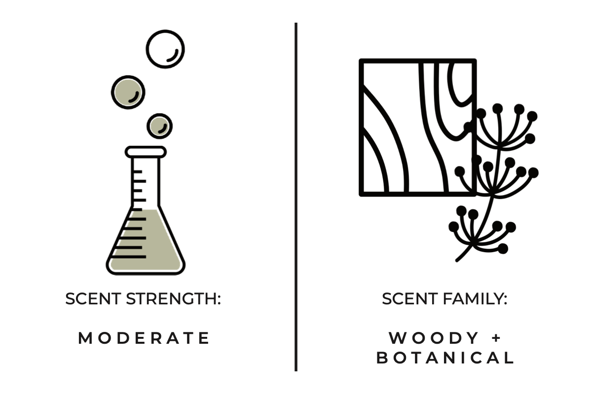 Bayberry + Birch Candle 7.75 oz.