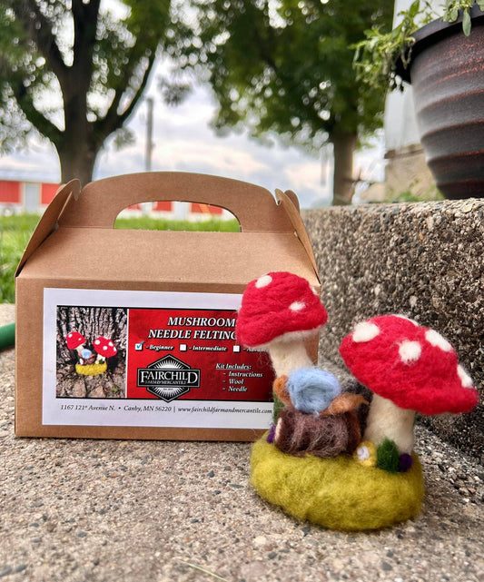 Mushroom Needle Felting Kit