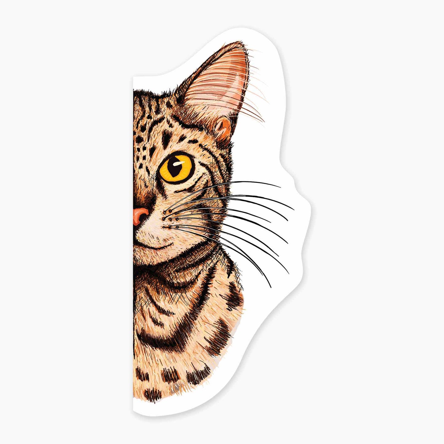 Pitten - 3” Art Sticker