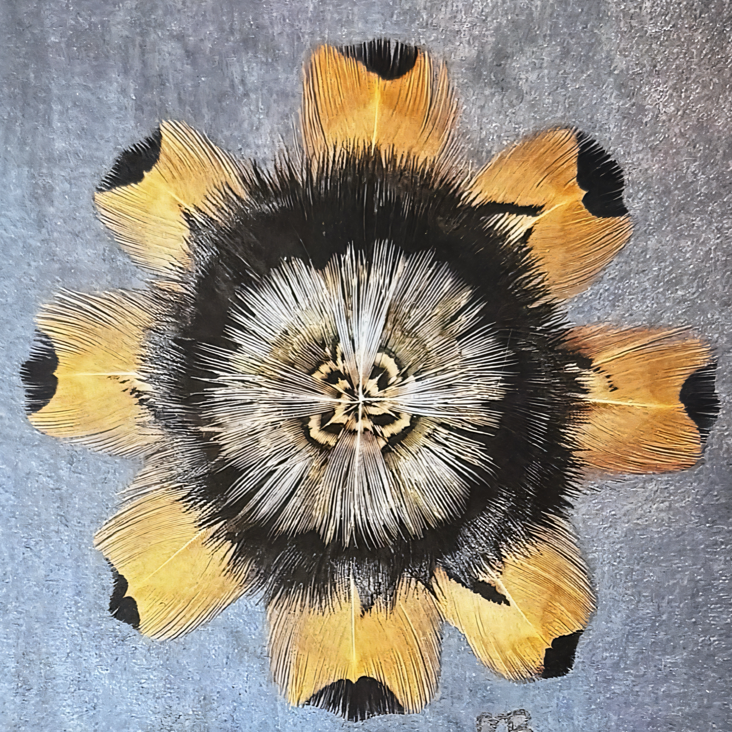 The Sunflower Star Feather Star Art Print