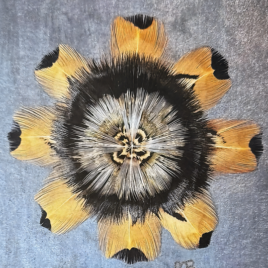 The Sunflower Star Feather Star Art Print