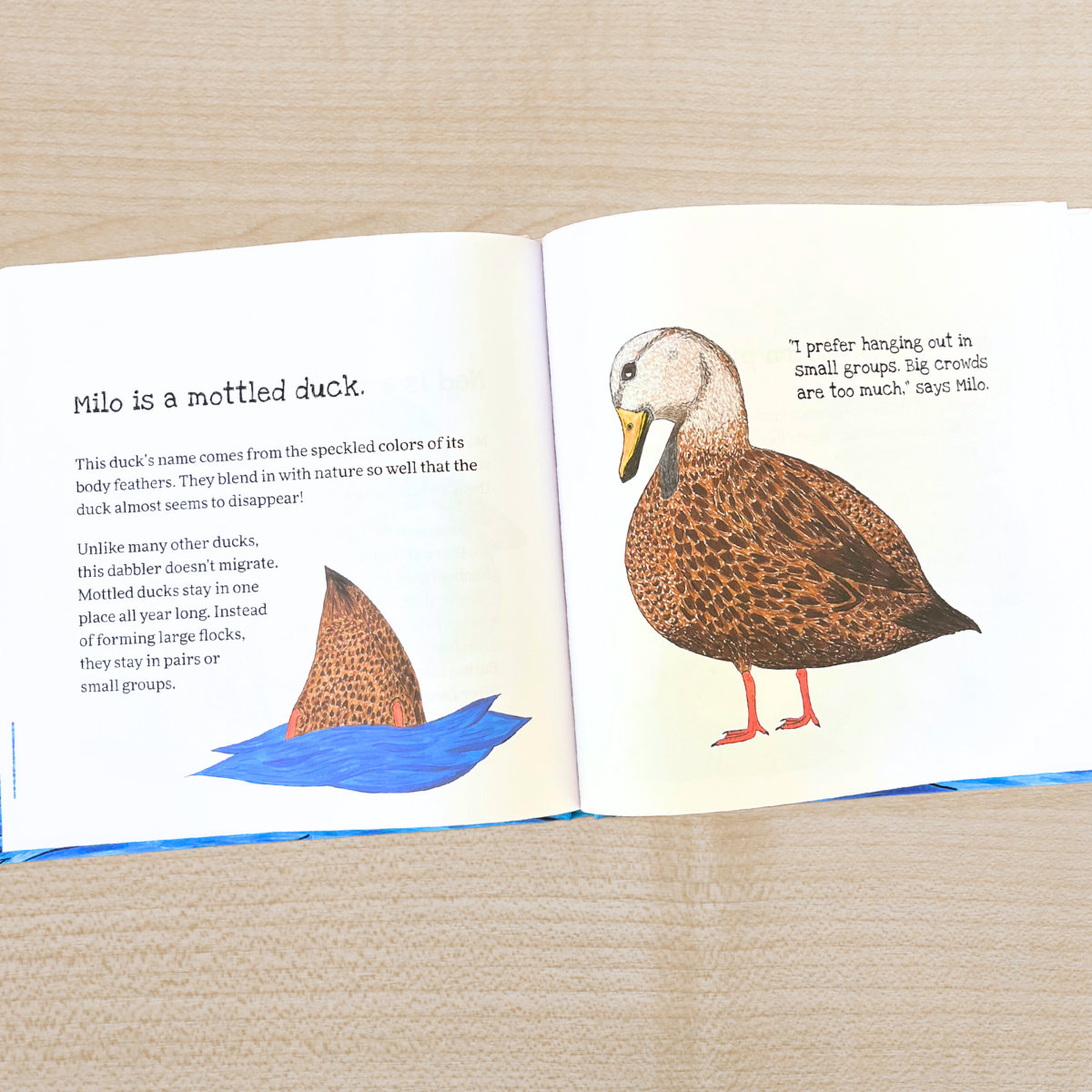Butts-Up Birdies Book