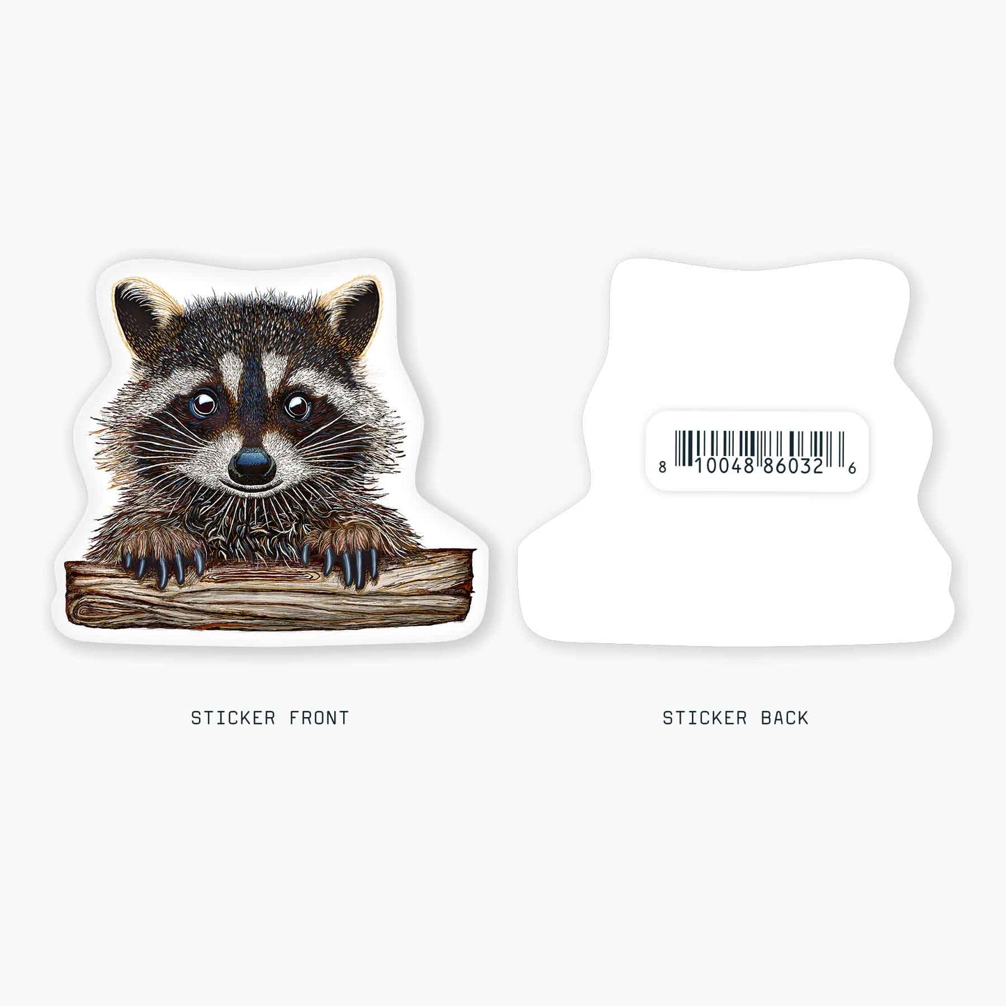 Rocky the Raccoon - 3" Art Sticker