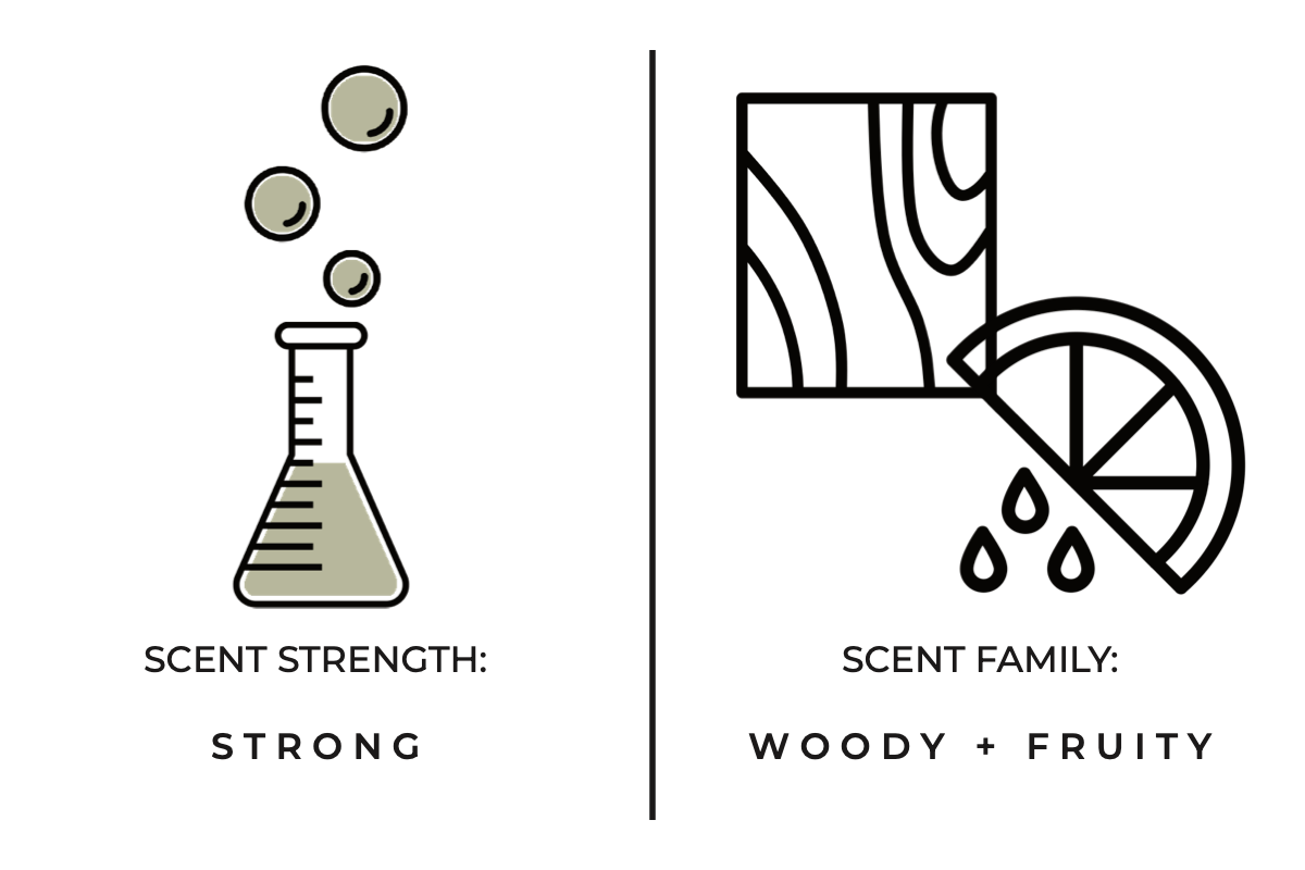 Letters To Stardust Candle 12 oz.