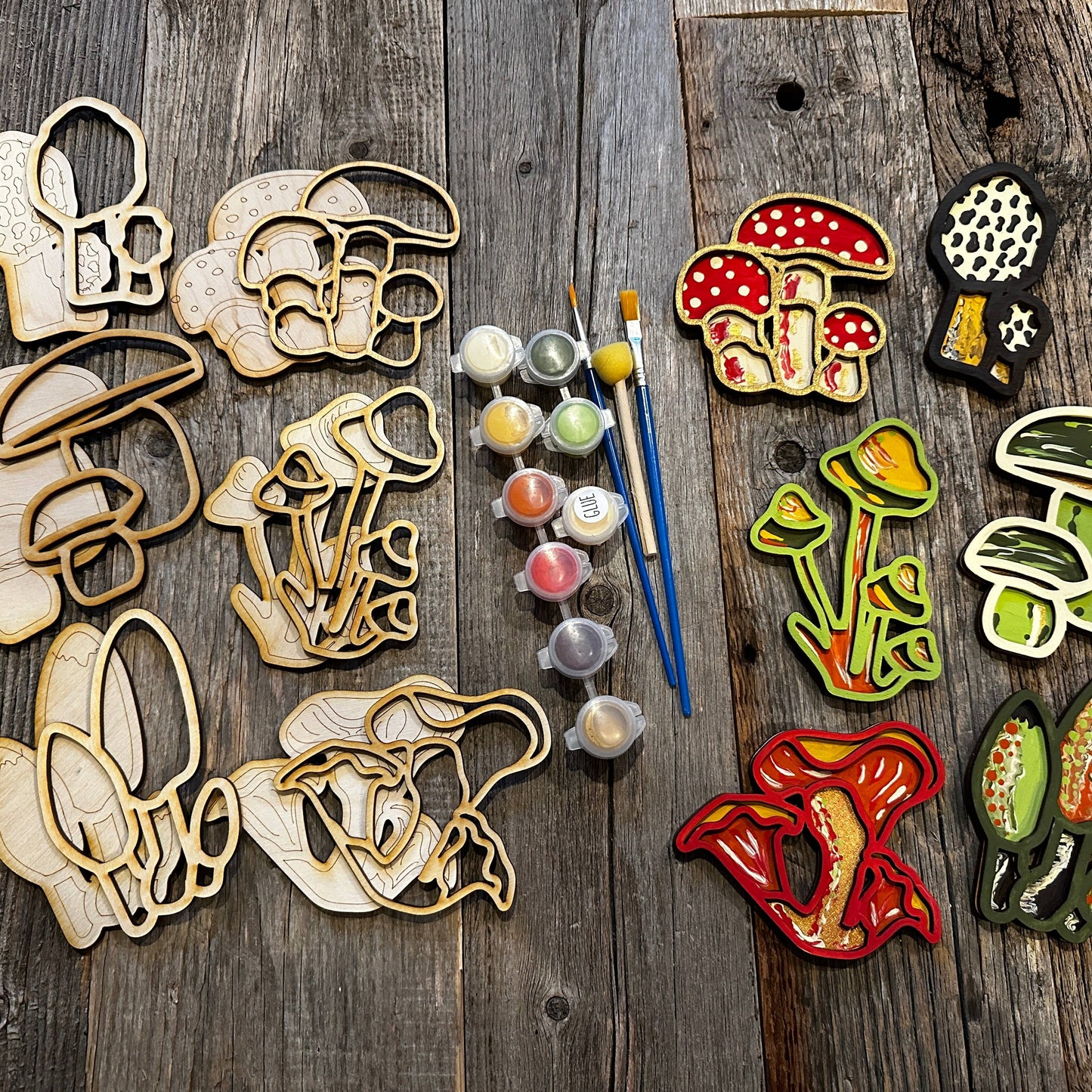 Mini DIY painting Mushrooms and Toadstools gift set