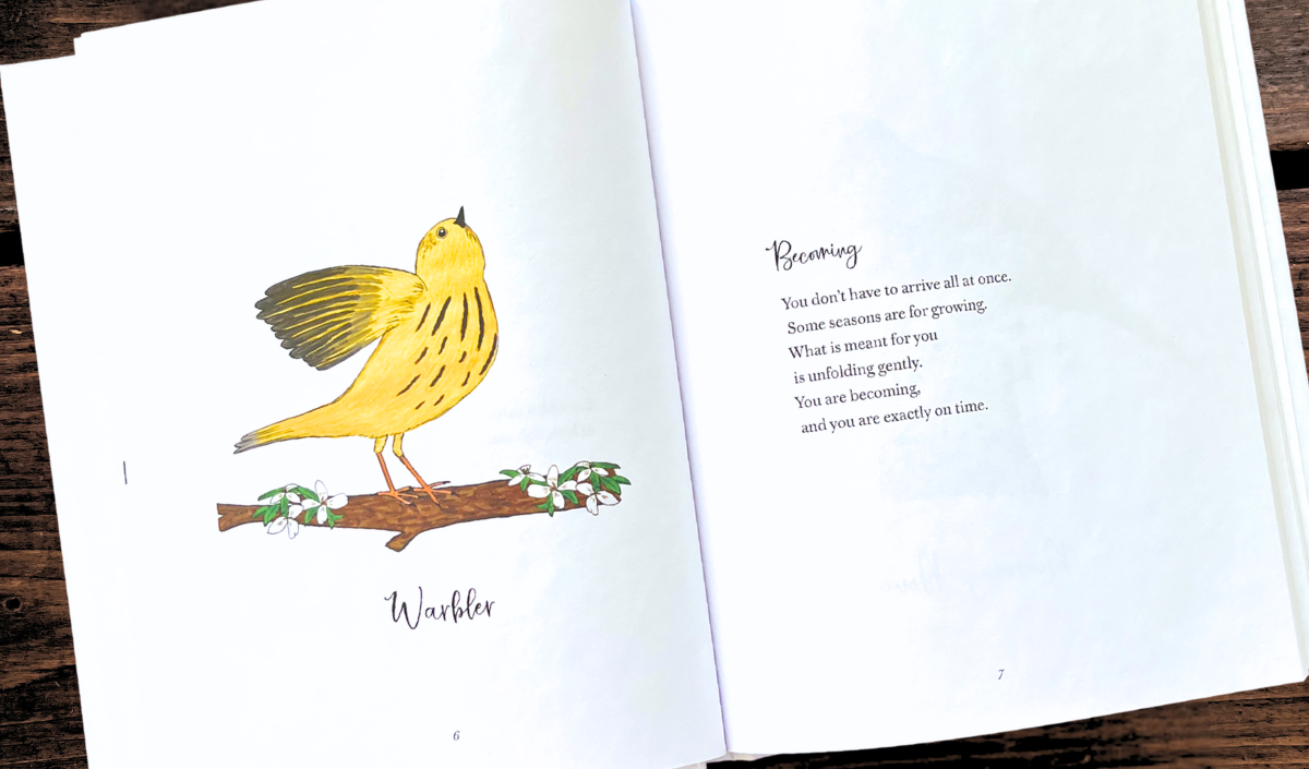 Little Birdie Buddies of Hope Book
