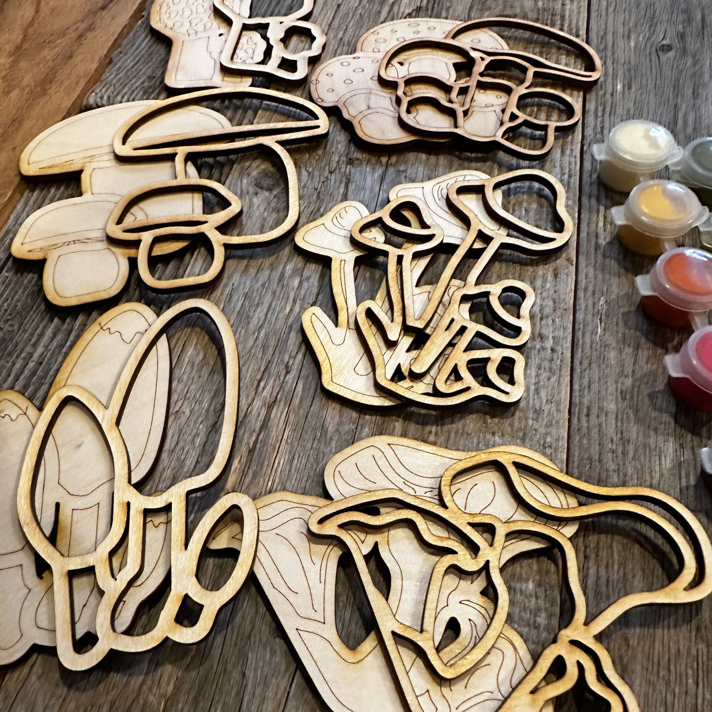 Mini DIY painting Mushrooms and Toadstools gift set