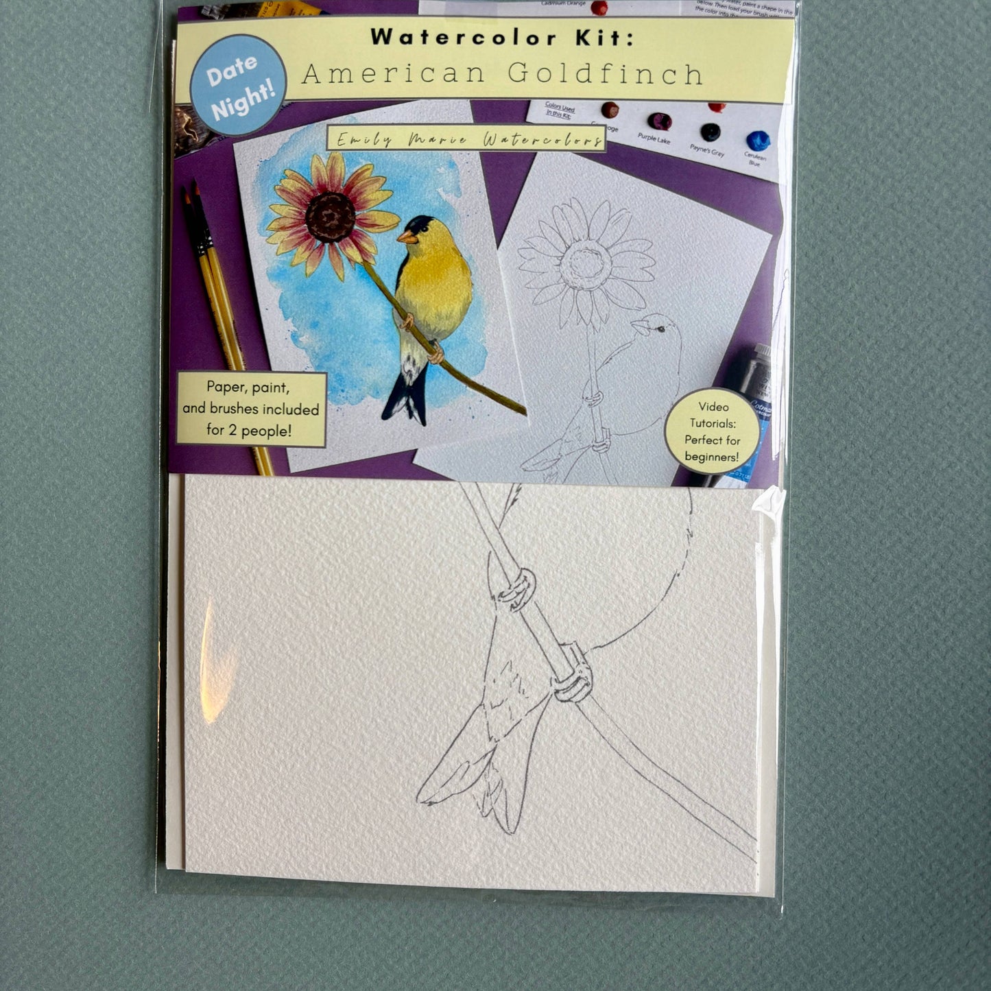 Watercolor Date Night Kit: American Goldfinch