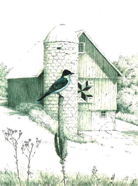 Kingbird and Old Barn Greeting Card