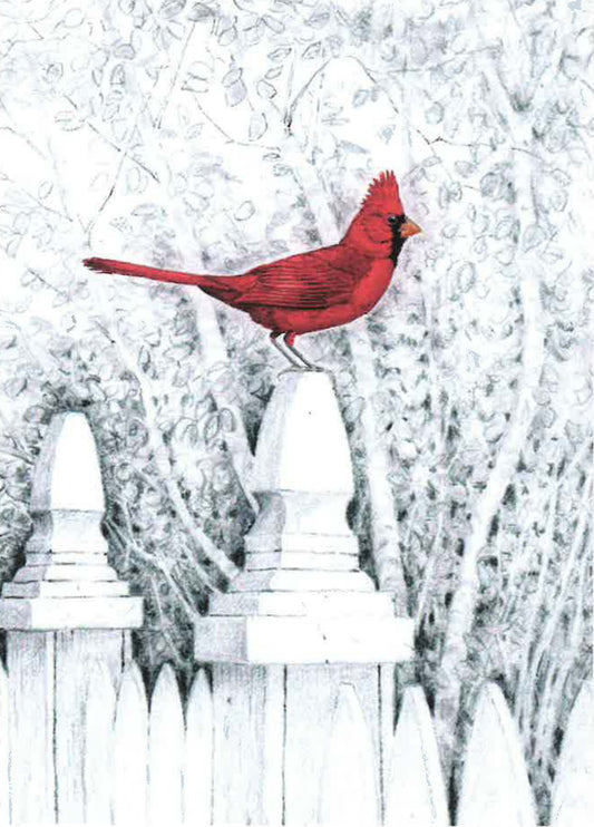 Cardinal on Fence Greeting Card