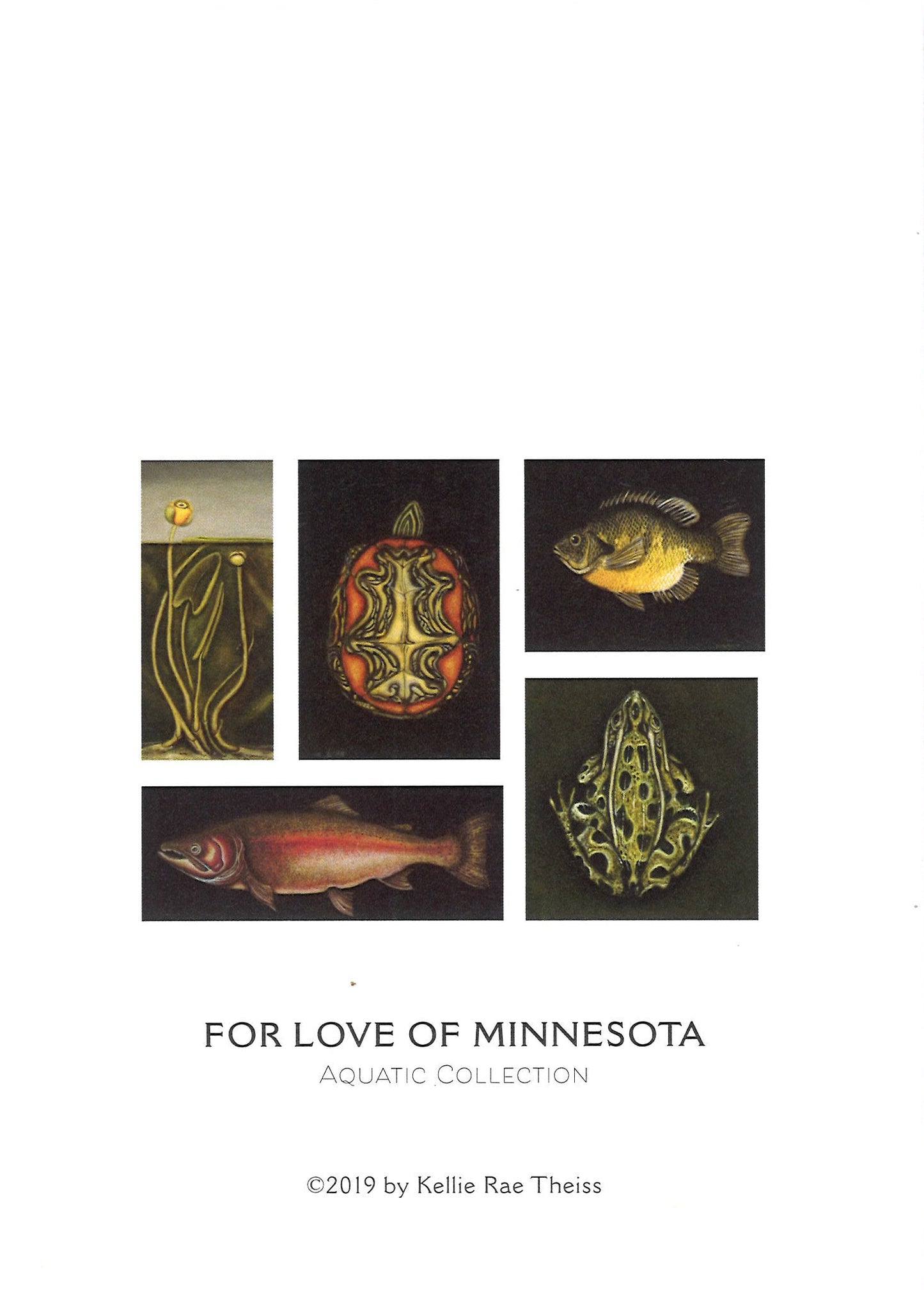 Kellie Rae Theiss For the Love of MN Postcard Set | Aquatic Collection