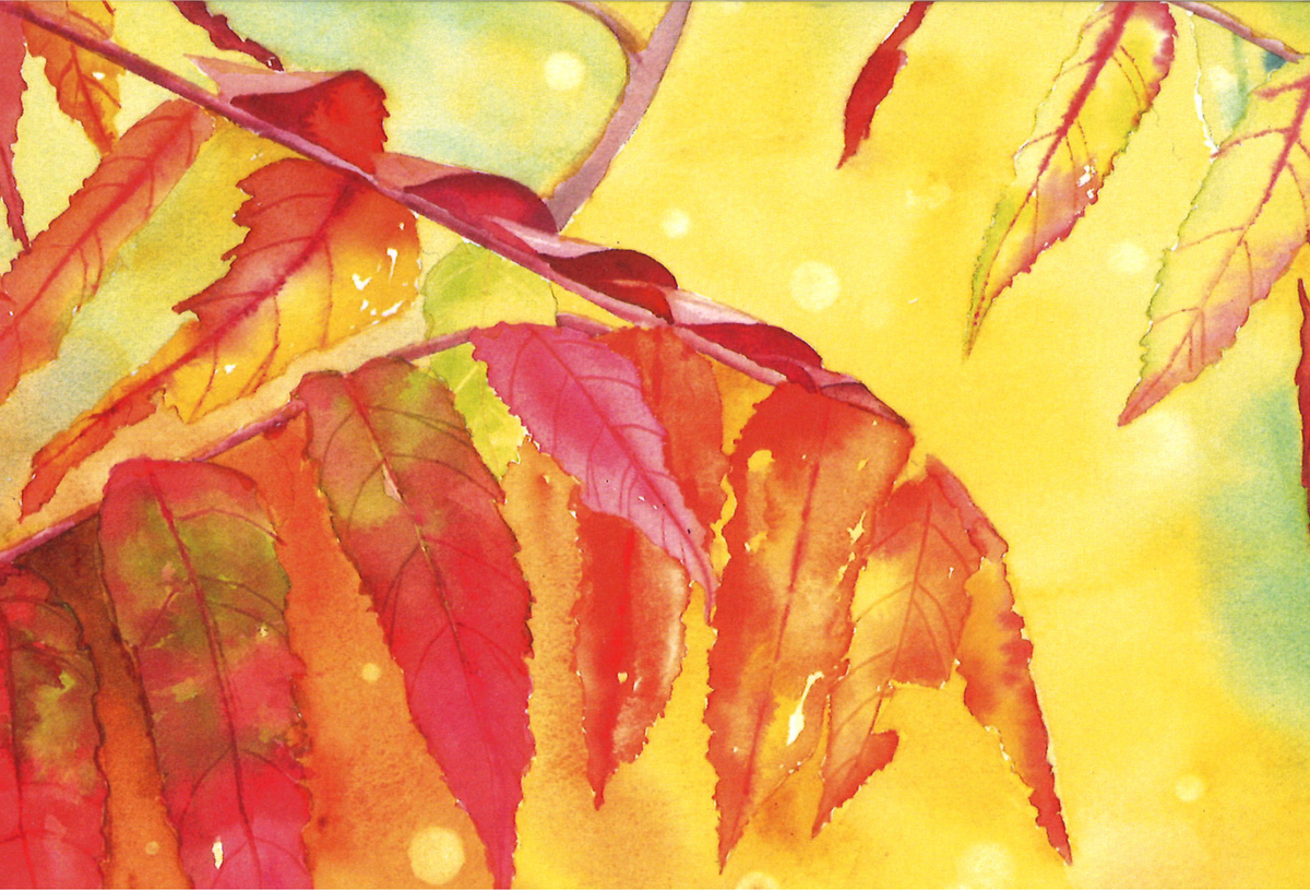Autumn Sumac Greeting Card