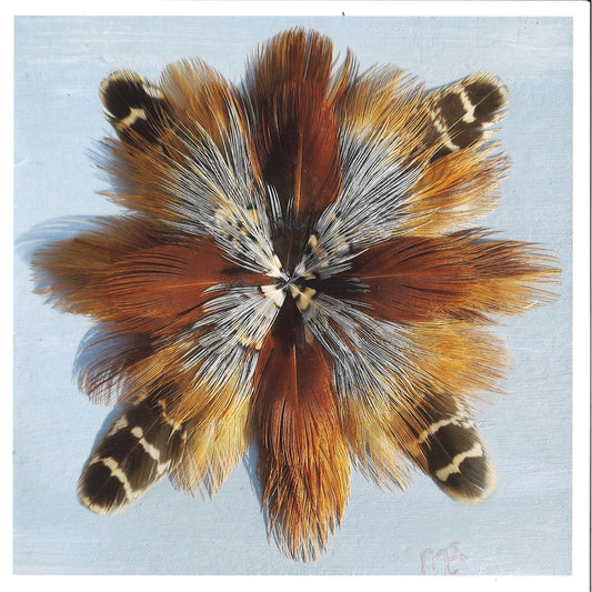 Baby Blues Feather Star Art Print