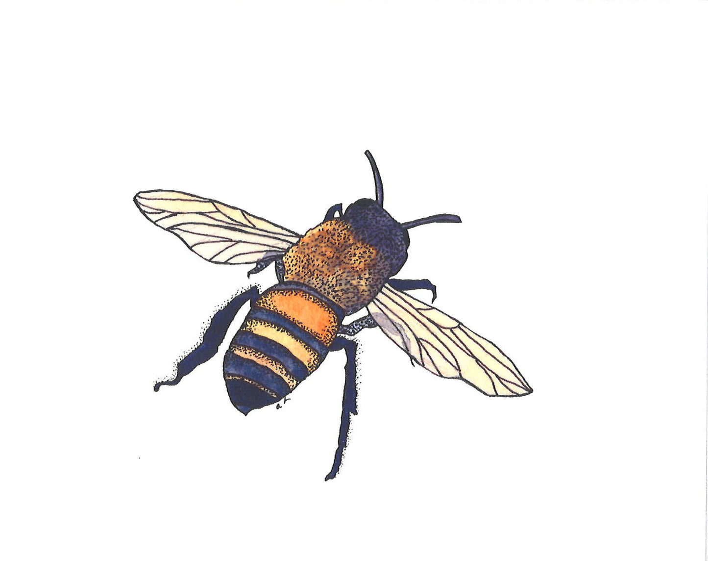 Bee Greeting Card