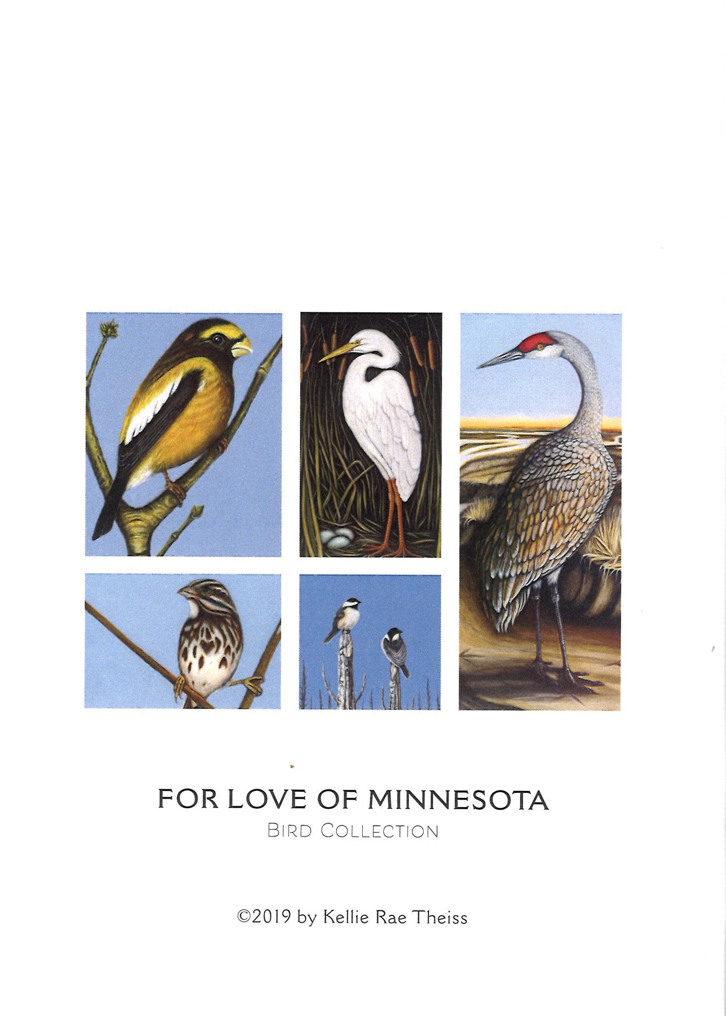 Kellie Rae Theiss For the Love of MN Postcard Set | Bird Collection
