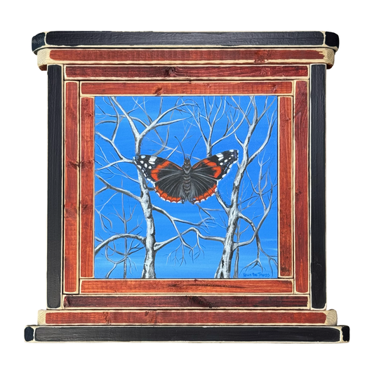 Red Admiral Butterfly