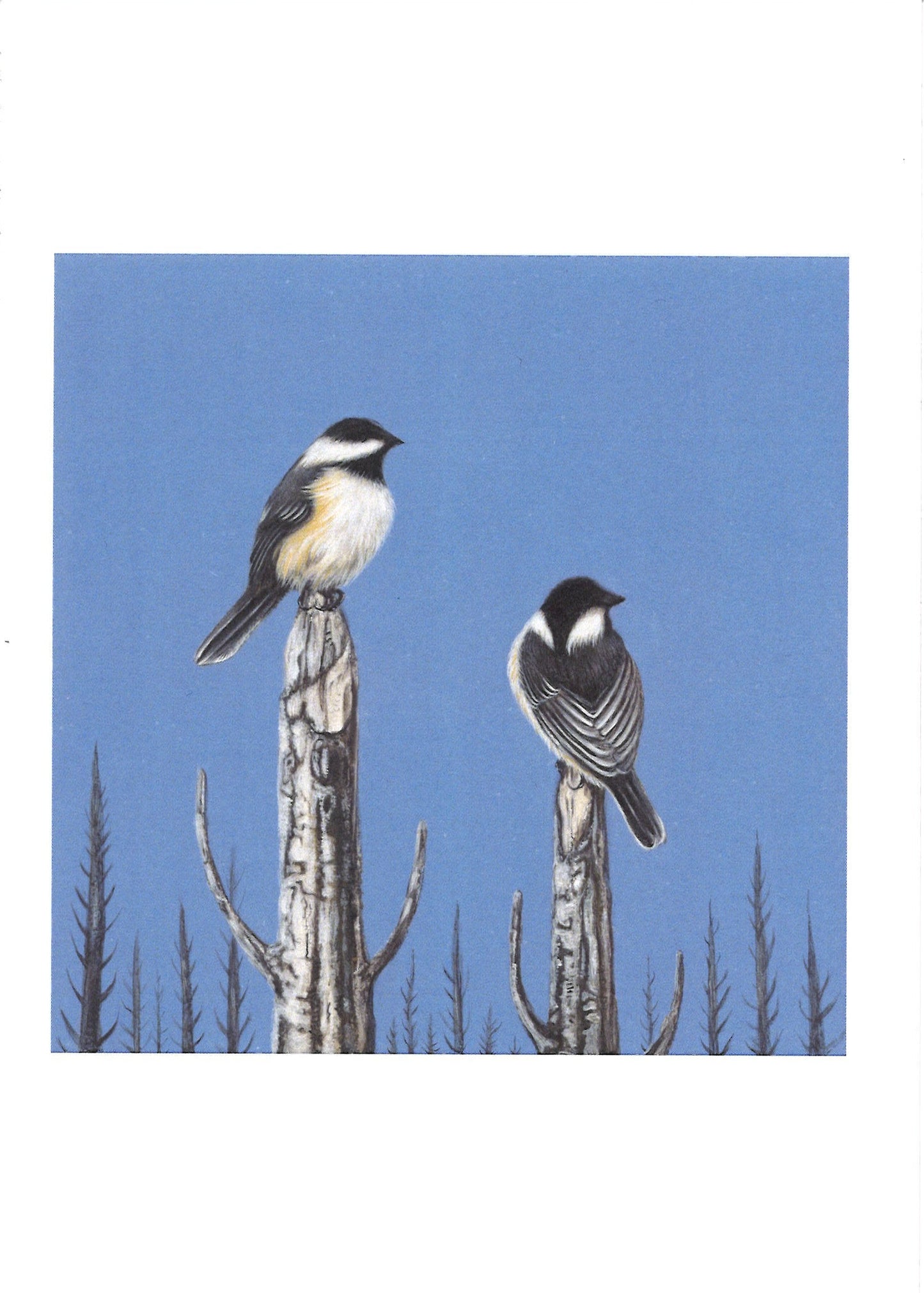 Kellie Rae Theiss For the Love of MN Postcard Set | Bird Collection